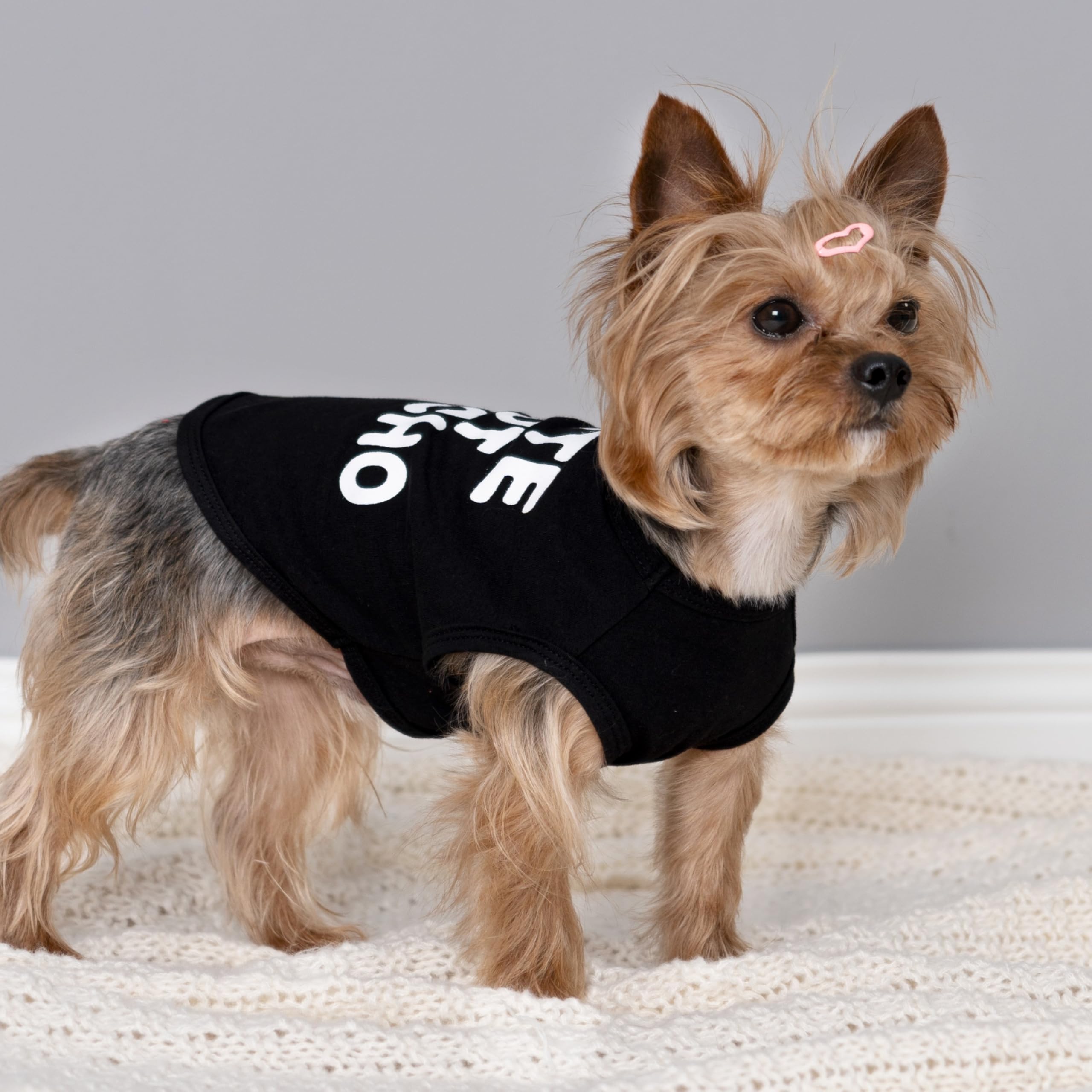 Fitwarm Cute But Psycho Dog Shirt, Summer Clothes For Small Dogs Boy Girl, Funny Pet Outfit, Black, White, Xxl