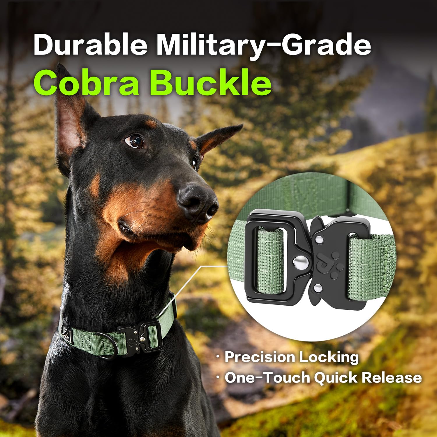 Pawspassion Heavy Duty Dog Collar For Medium Dogs, Chew Proof Metal Hardware, Reinforced Nylon Dog Collar With Metal Quick-Relea