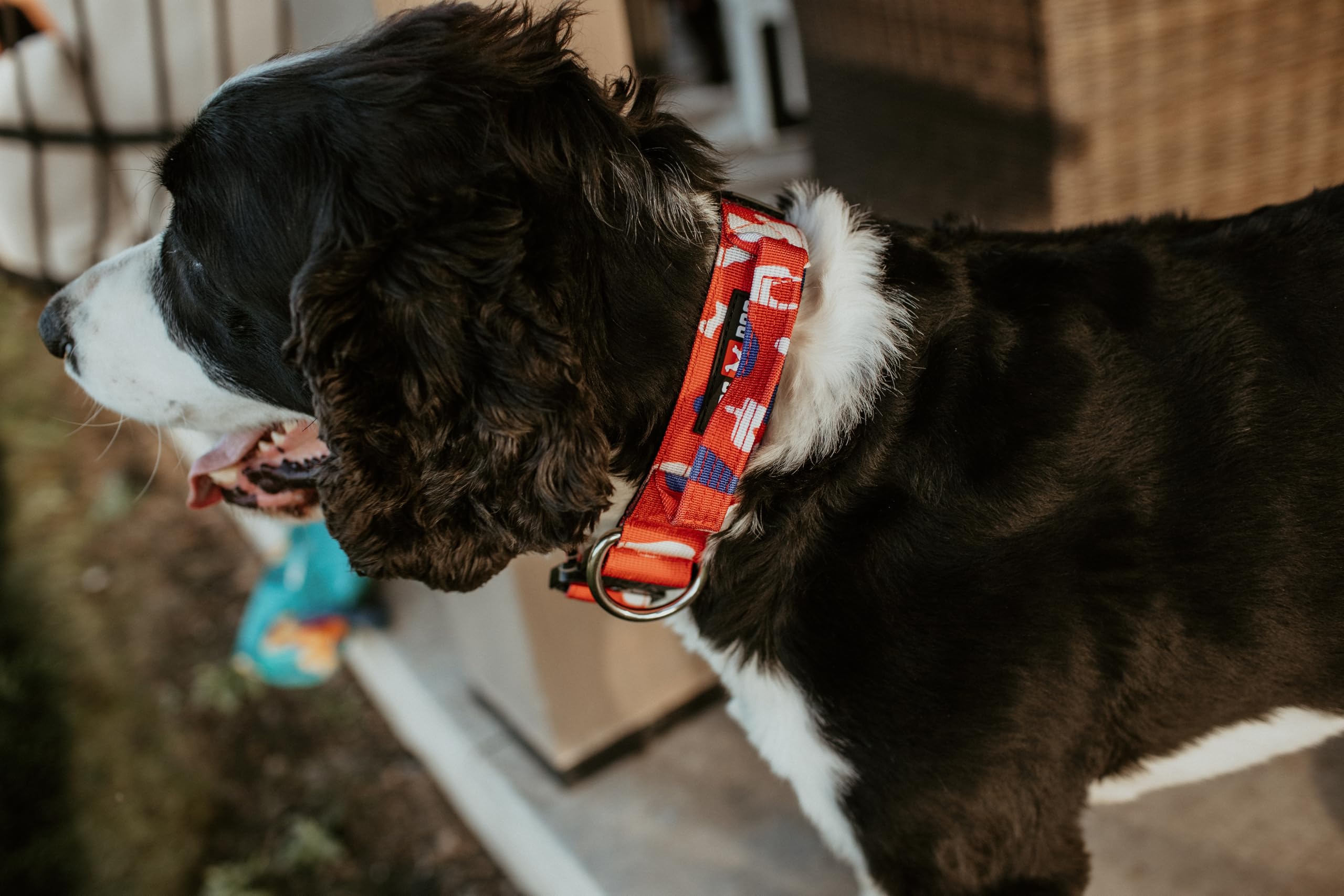 Boss Dog Tactical Collar, Red, White & Blue Camo, Medium