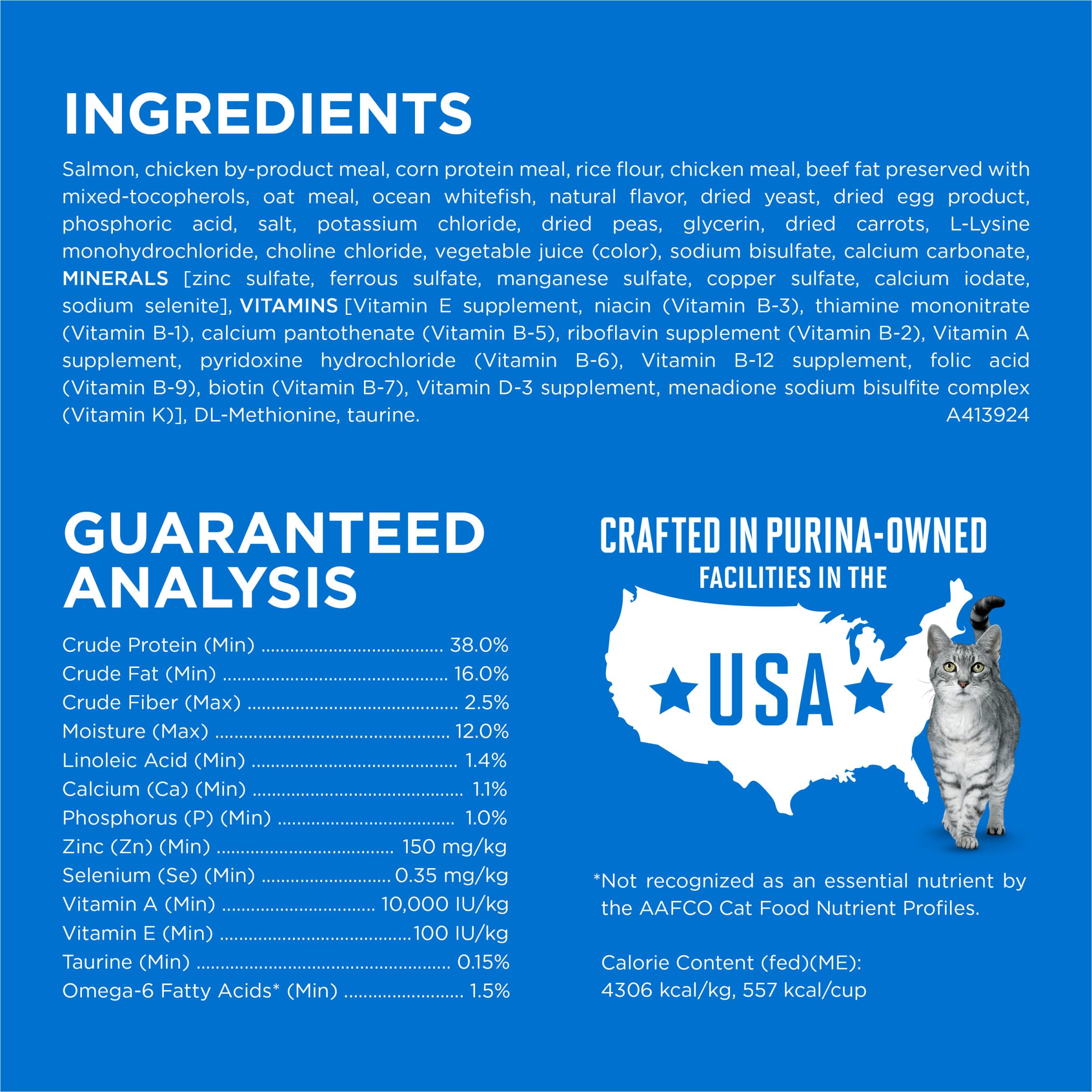 Purina ONE Plus High Protein Cat Food Dry Salmon and Ocean Whitefish Cat Skin and Coat Health Formula - 16 lb. Bag