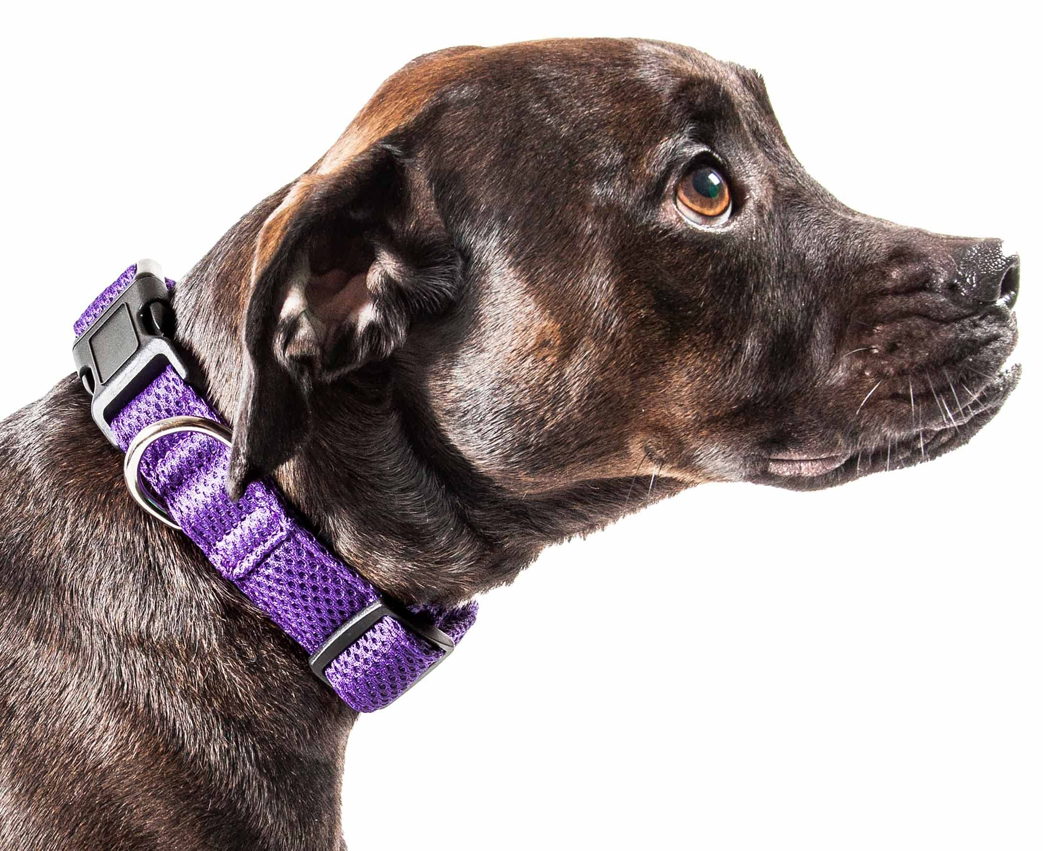 Pet Life 'Aero Mesh' 360 Degree Dual Sided Comfortable And Breathable Adjustable Mesh Dog Collar(D0102H70Hz7.)