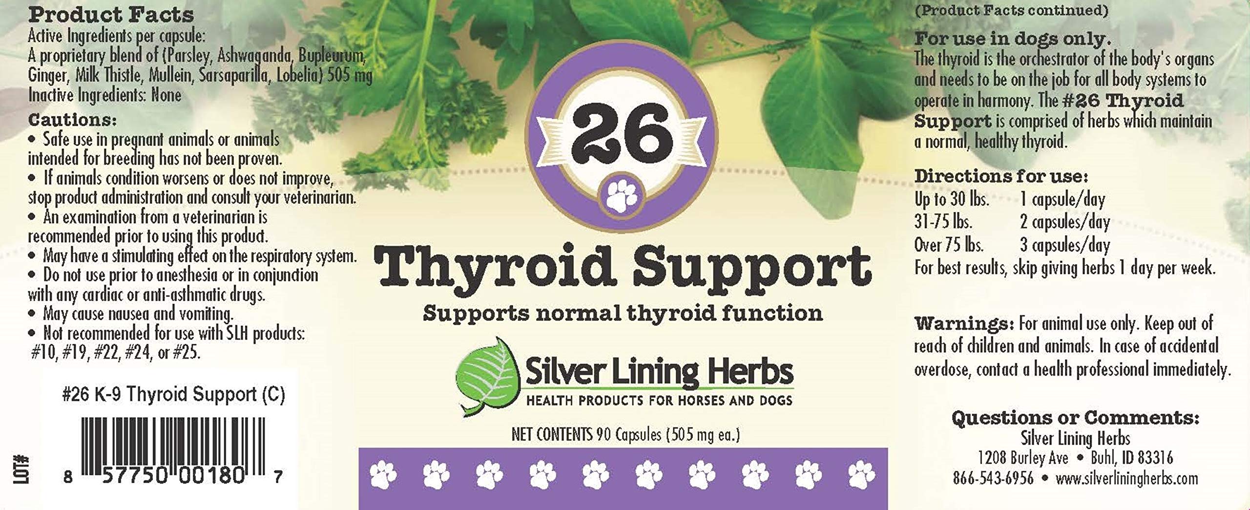 #26 THYROID