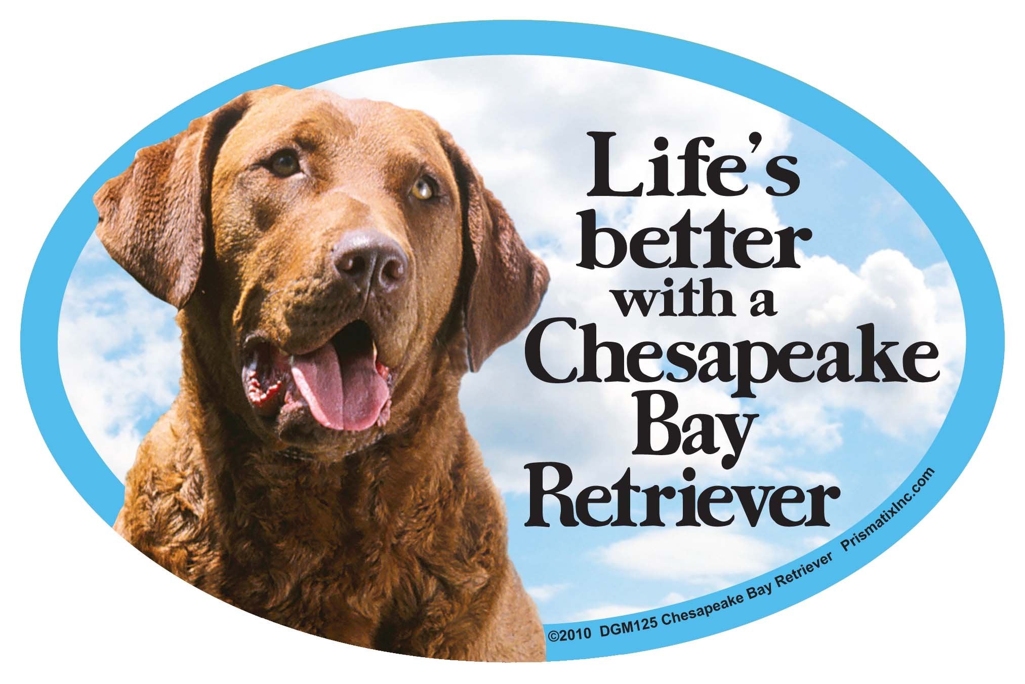 Prismatix Chesapeake Bay Retriever Oval Dog Magnet For Cars