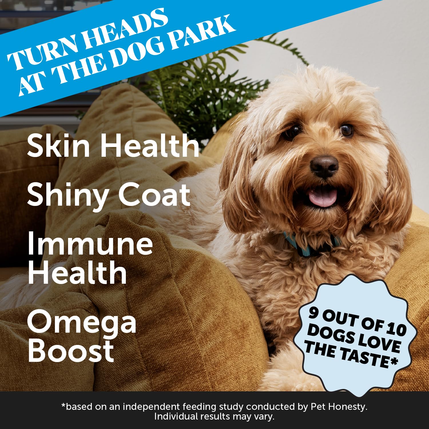 Skin Health Salmon Chews - Itch Relief for Dogs, Omega 3 Fish Oil for Dogs, Natural Salmon Oil for Dog Chews for Healthy Skin &