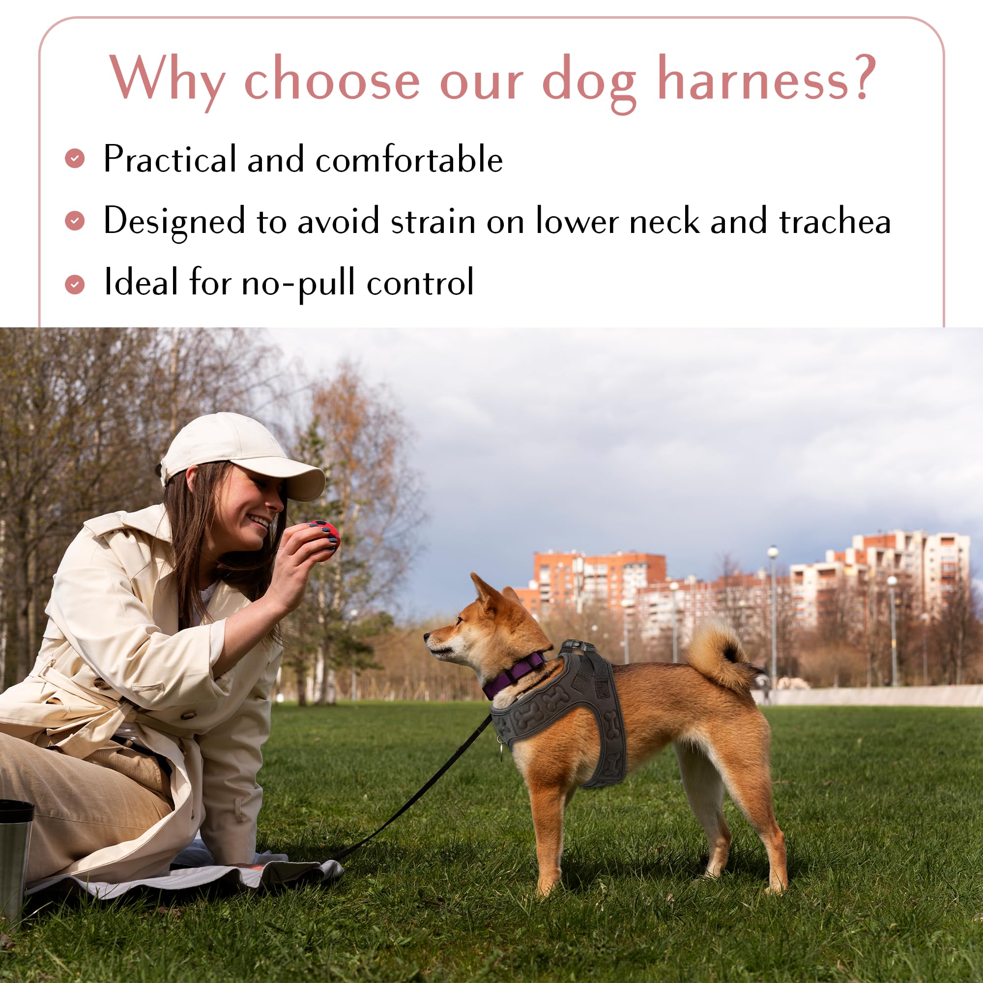 Comfort Fit Step-In Dog & Puppy Harness - Comfortable Dog & Puppy Vest: Adjustable, Soft Padded, Easy To Put-On For Small, Mediu