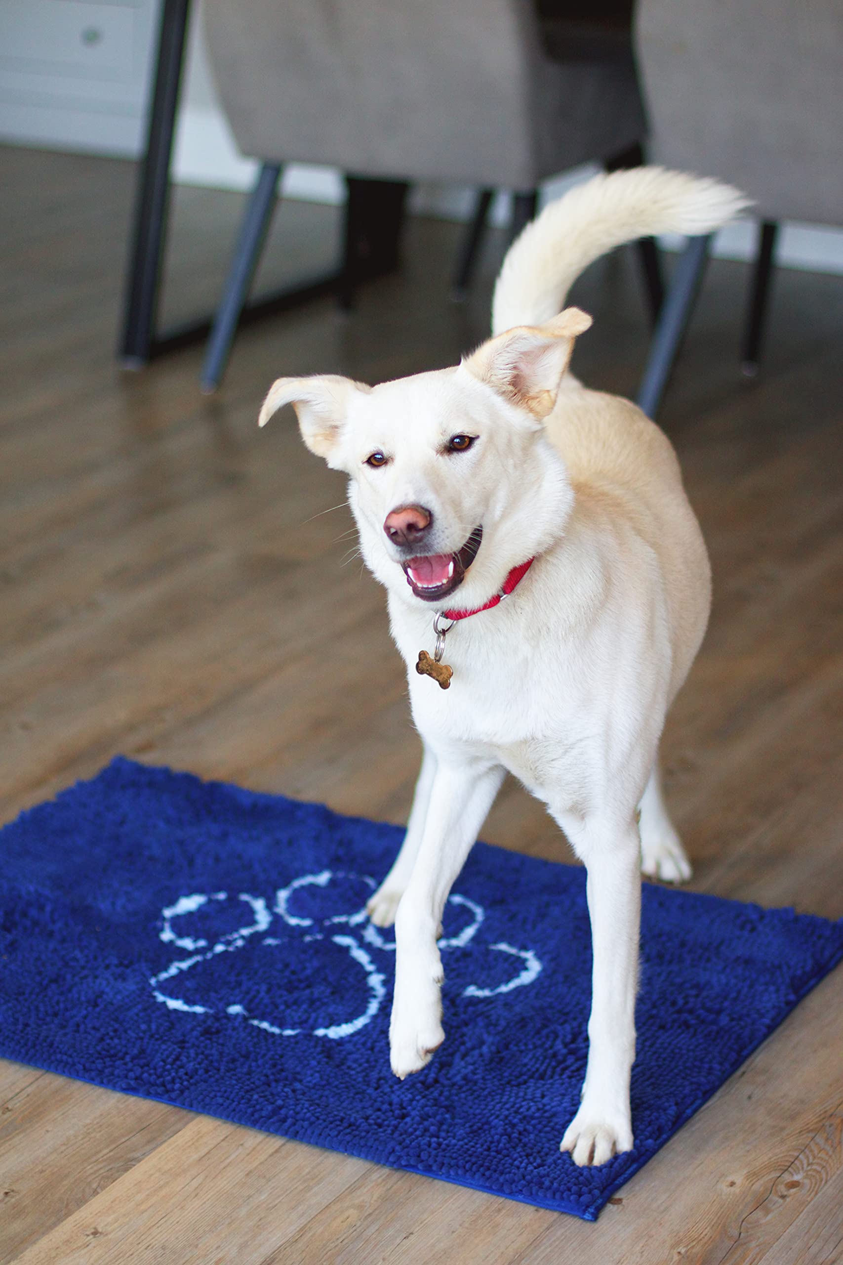 Dog Gone Smart Dirty Dog Doormat - Fast Drying Rug with Super Gripper Backing for Clean Floors - Super Absorbent and Machine Was
