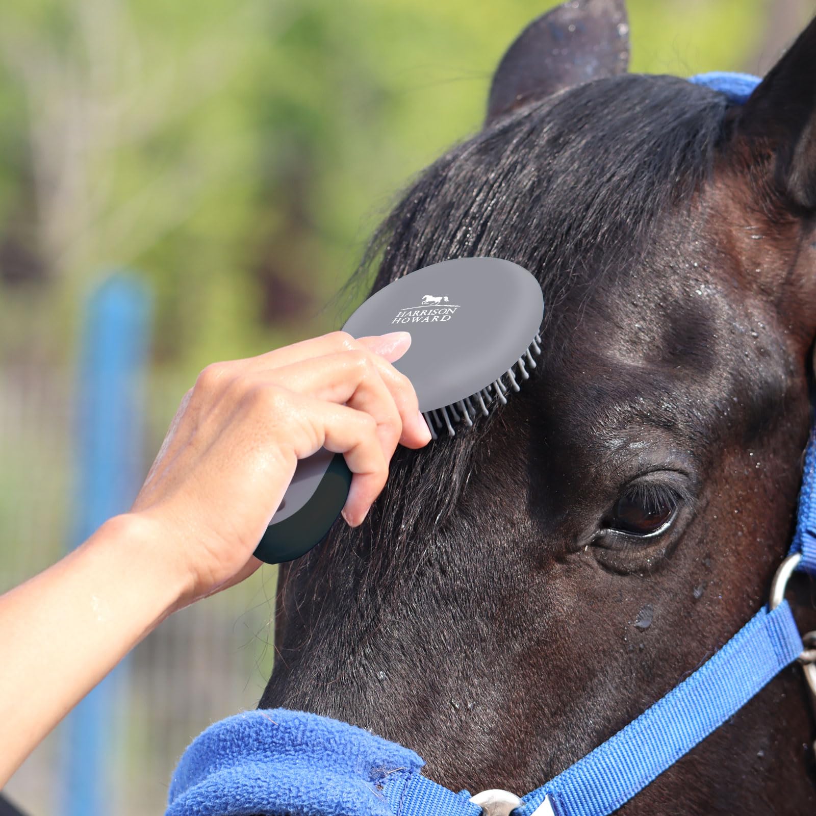 Harrison Howard Horse Mane And Tail Brush - Professional Grooming Brush, Equestrian Detangler, Non-Slip, Black