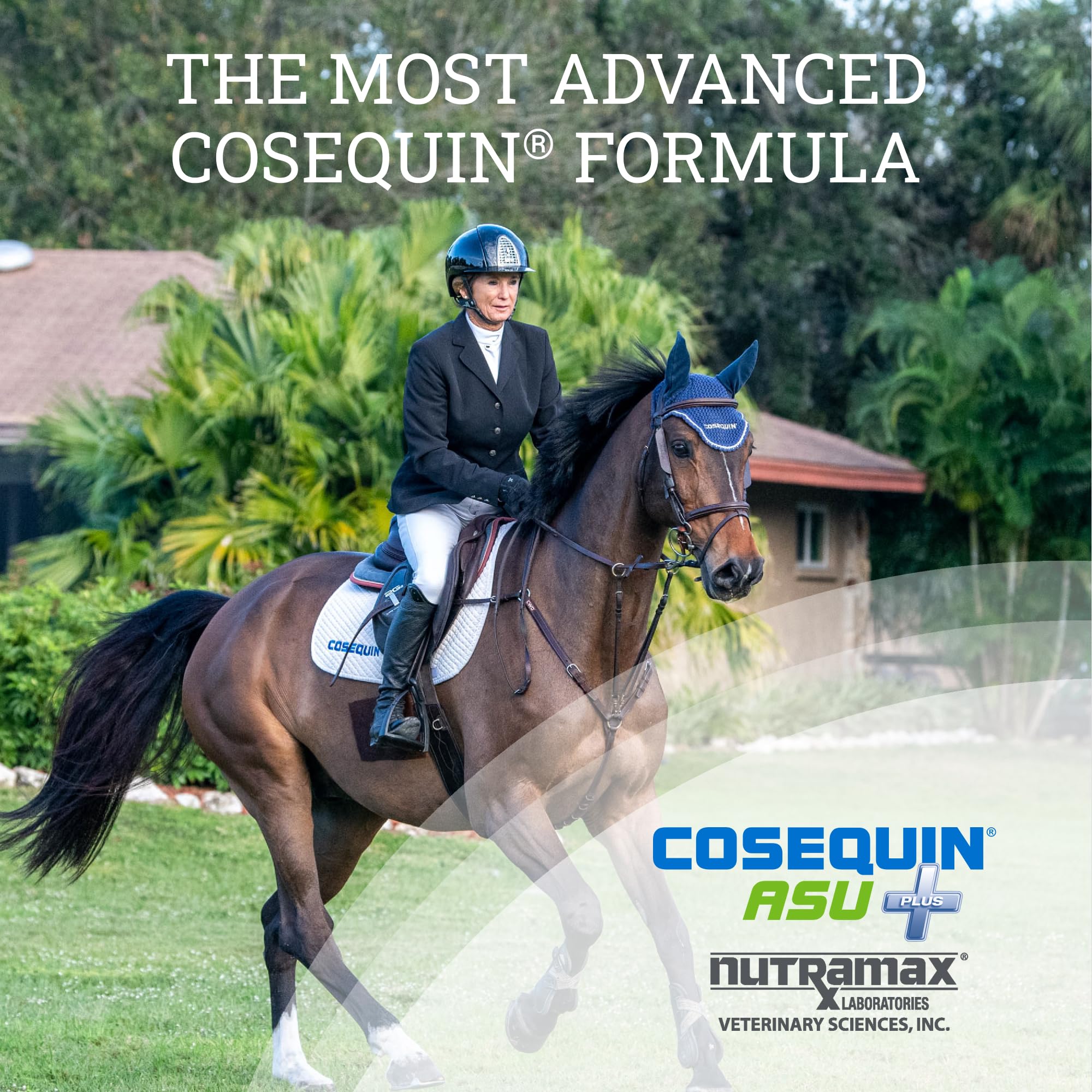 Nutramax Cosequin ASU Joint Health Supplement for Horses - Powder with Glucosamine, Chondroitin, MSM, ASU, Green Tea Extract, an