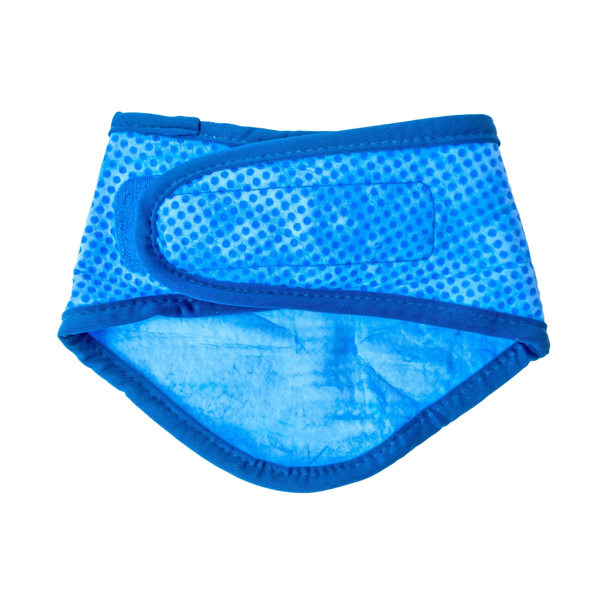 Gf Pet Ice Dog Bandana, Large/X-Large
