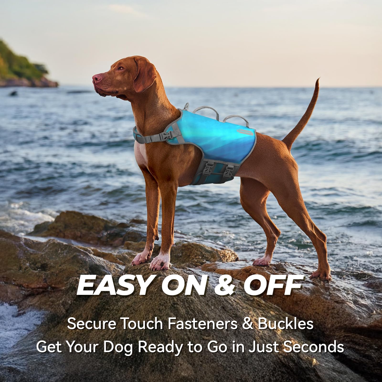 Vivaglory Neoprene Dog Life Jacket Dog Lifevest For Boating Hunting & Swimming, Lightweight With Leash Ring, Xl, Teal