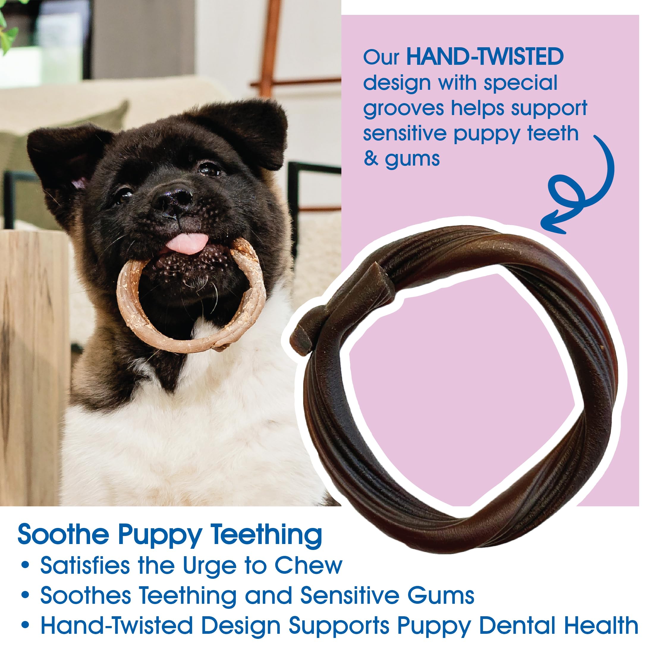 N-Bone Puppy Teething Rings Taste Of Texas Burnt Ends Flavor 3 Count