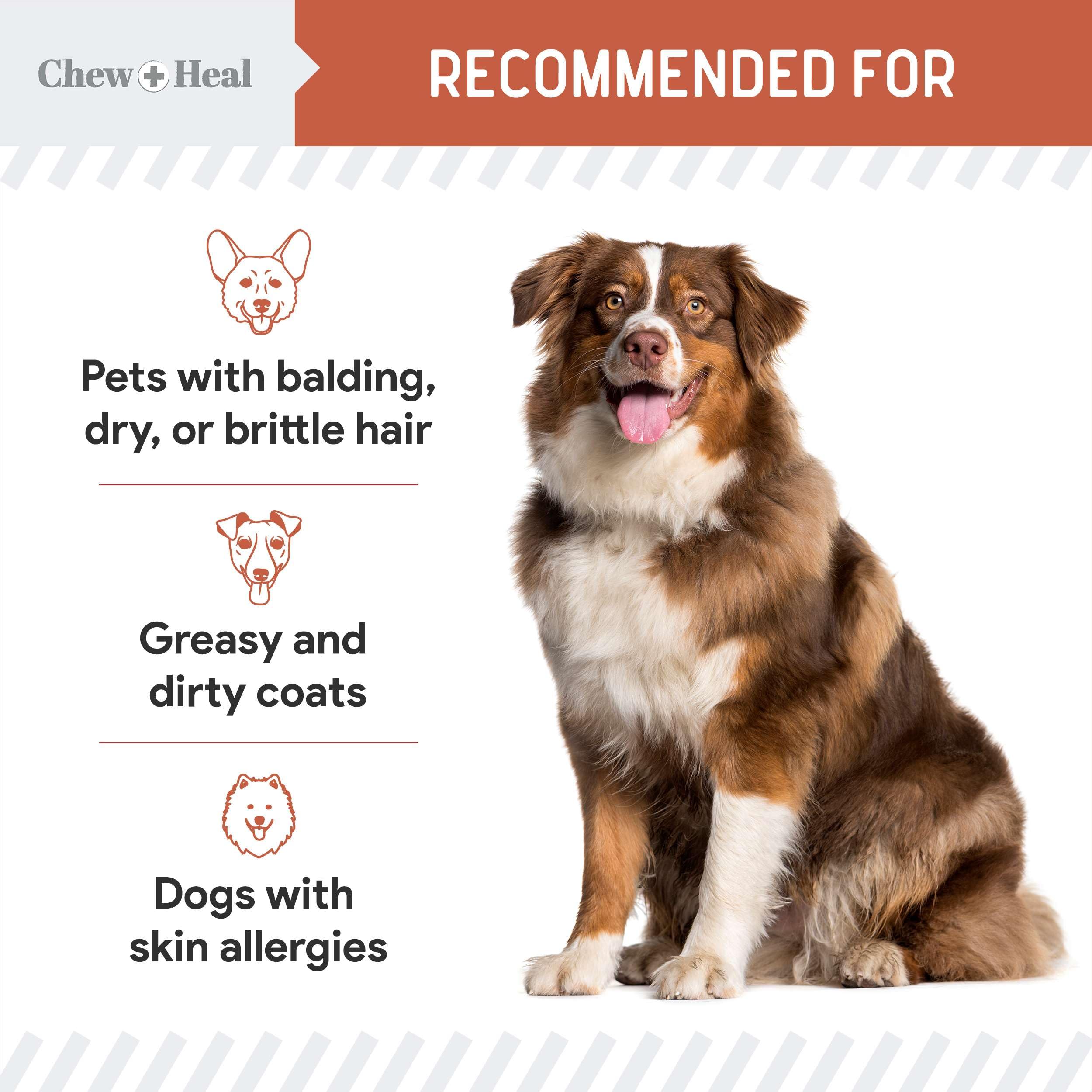 Salmon Oil for Dogs - Soft Chew Omega Treats for Skin and Coat - Fish Oil Blend of Essential Fatty Acids, Omega 3 and 6, Vitamin