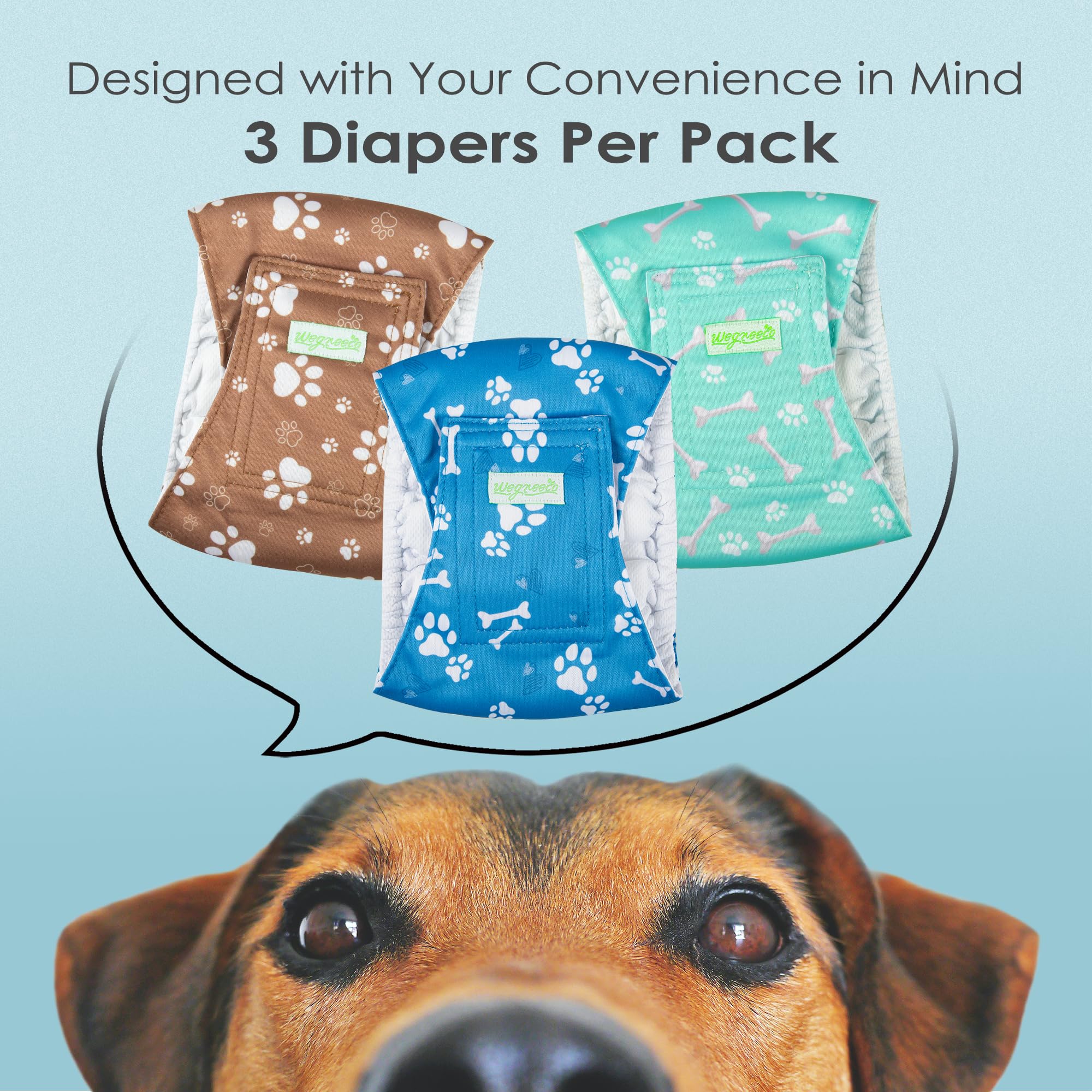 Wegreeco Washable Male Dog Belly Band - Pack of 3 - Washable Male Dog Belly Wrap, Medium Doggie Diapers for Doggy Puppy (Bone, M