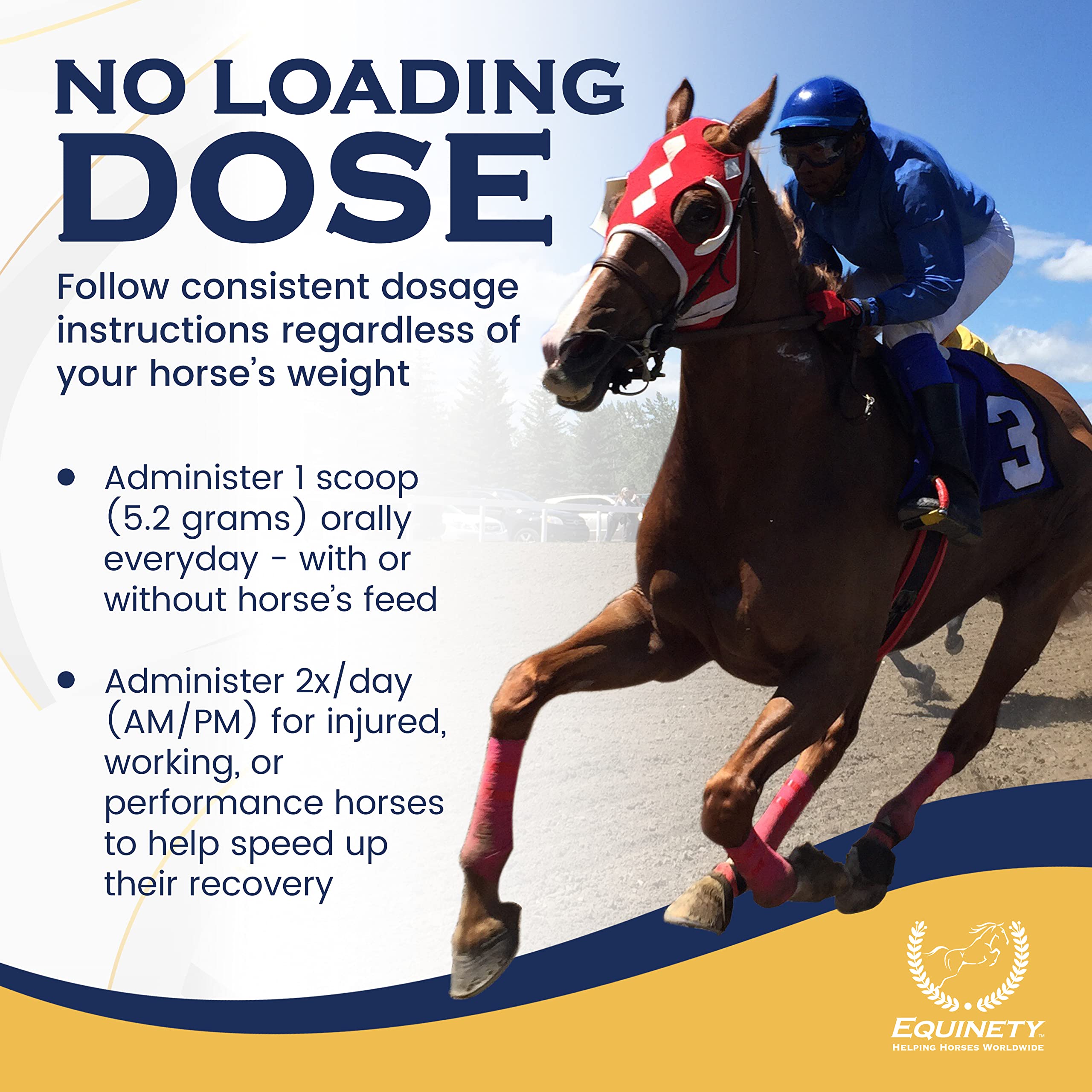 100-Day Supply Horse XL Horse Supplements - Horse Care W/ 8 Essential Amino Acids to Promote Cellular Repair - No Soy or Sugar C