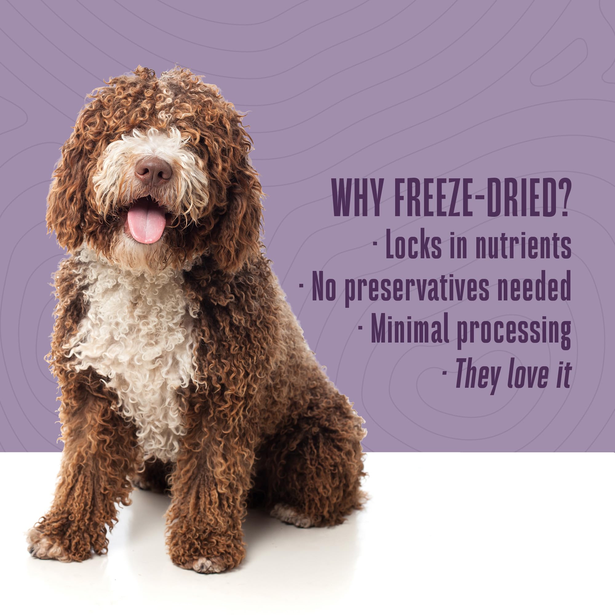 Whole Life Dog Just One Chicken Freeze Dried Dog Treats - Human Grade High Protein Food, Healthy Training Snacks, Freeze Dried F
