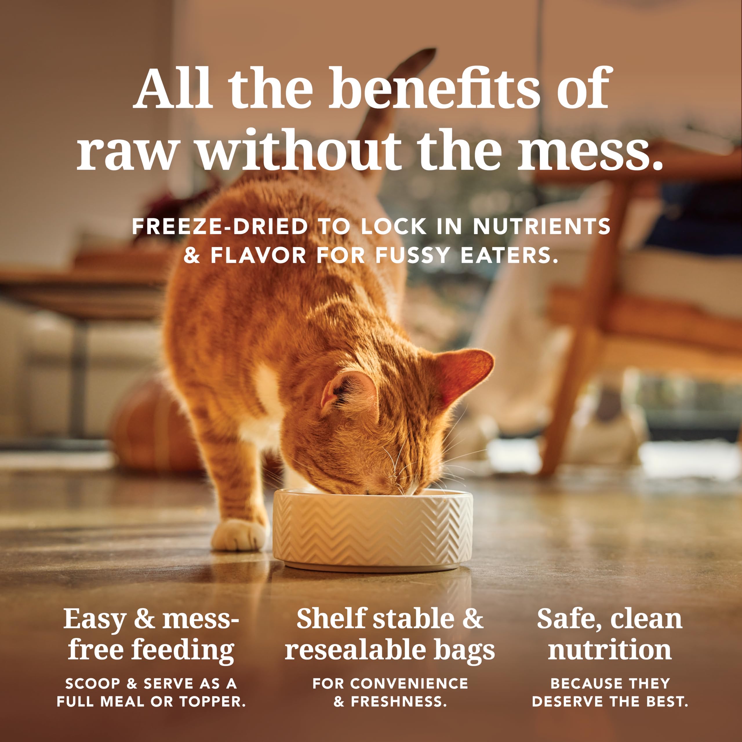 Feline Natural Grain-Free Freeze Dried Cat Food - Chicken & Lamb Feast, 3.5 Ounce - High Protein Cat Food from New Zealand, Natu