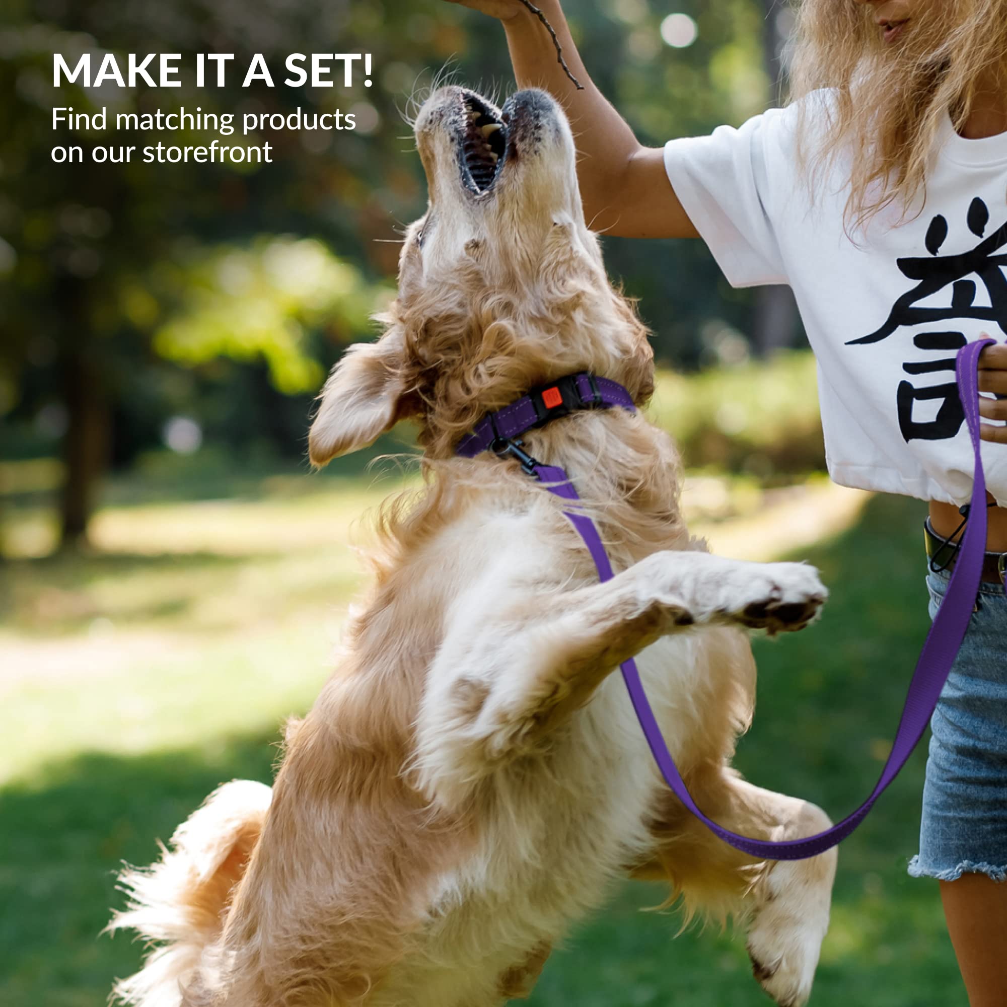 Collardirect Reflective Padded Dog Collar For A Small, Medium, Large Dog Or Puppy With A Quick Release Buckle - Boy And Girl - Nylon Suitable For Swimming (12-16 Inch, Purple)