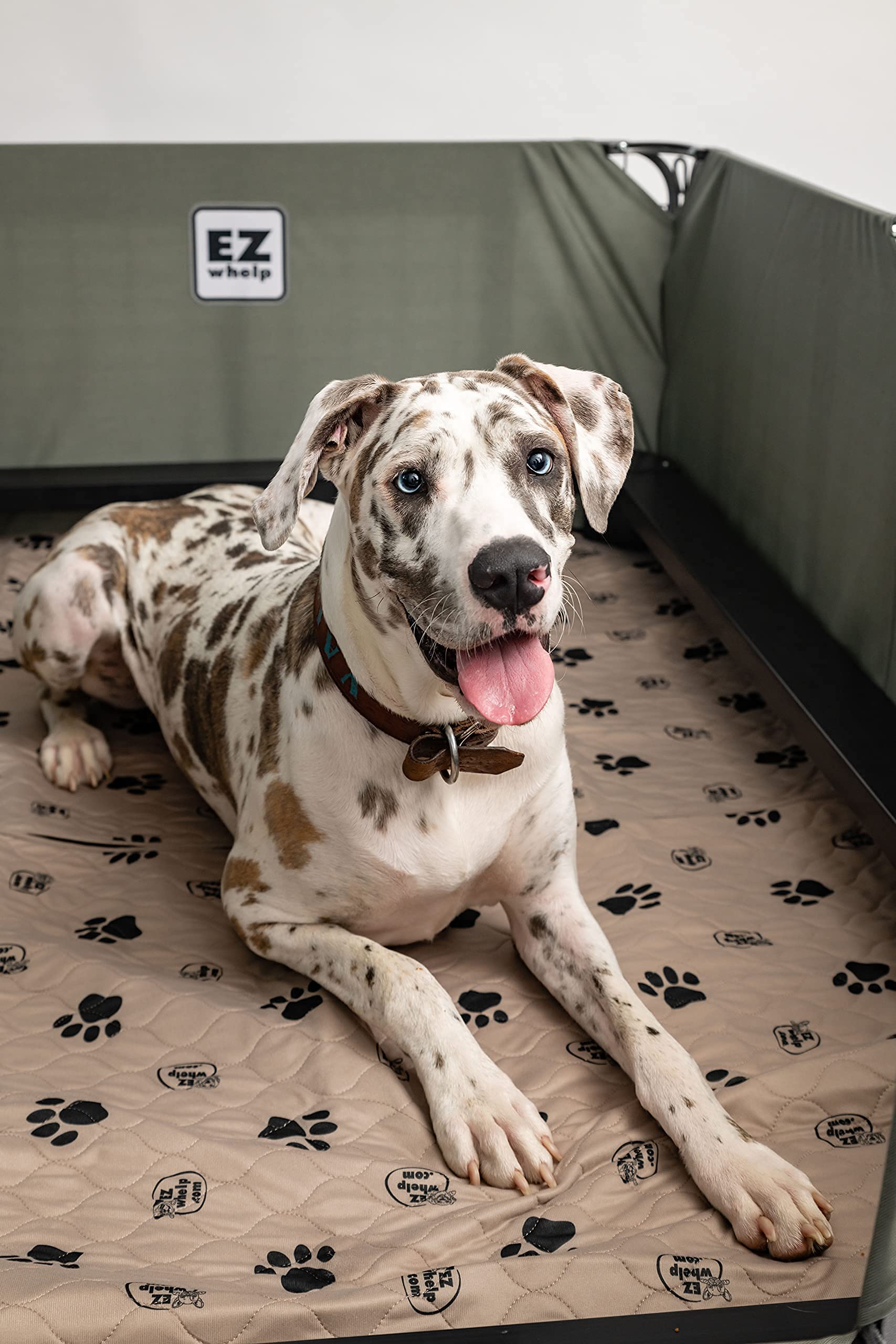 Ezwhelp Reusable Dog Pee Pads, Washable Waterproof Mats For Potty Training Or Whelping Pads, Puppy Pad With Rounded Corners, 36X48 Inch, 2 Pack