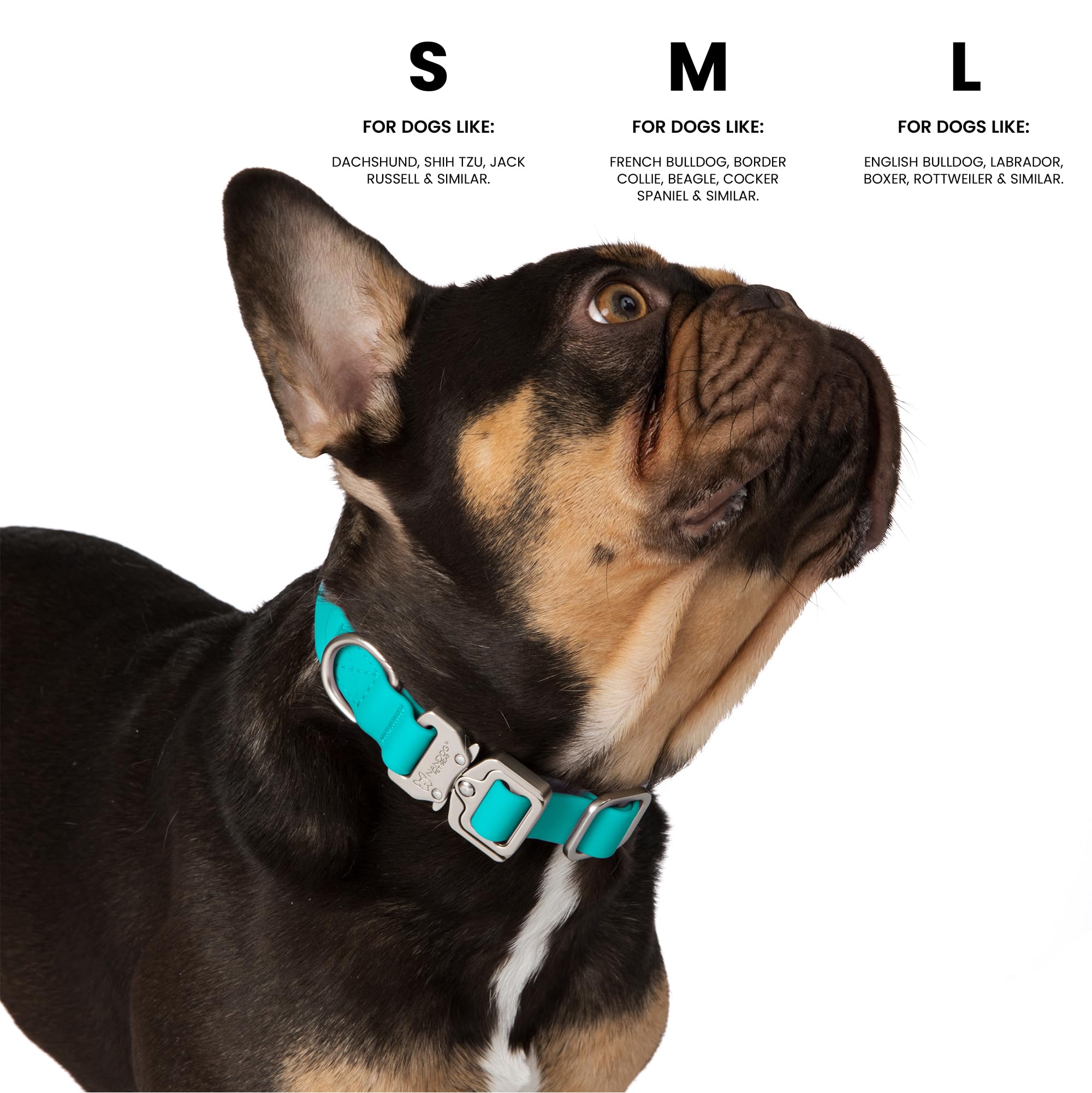Nandog The Signature Collection Waterproof Poly-Flex Sport Dog Collar In Medium, Aqua Blue - Durable & Adjustable - Secure Doubl
