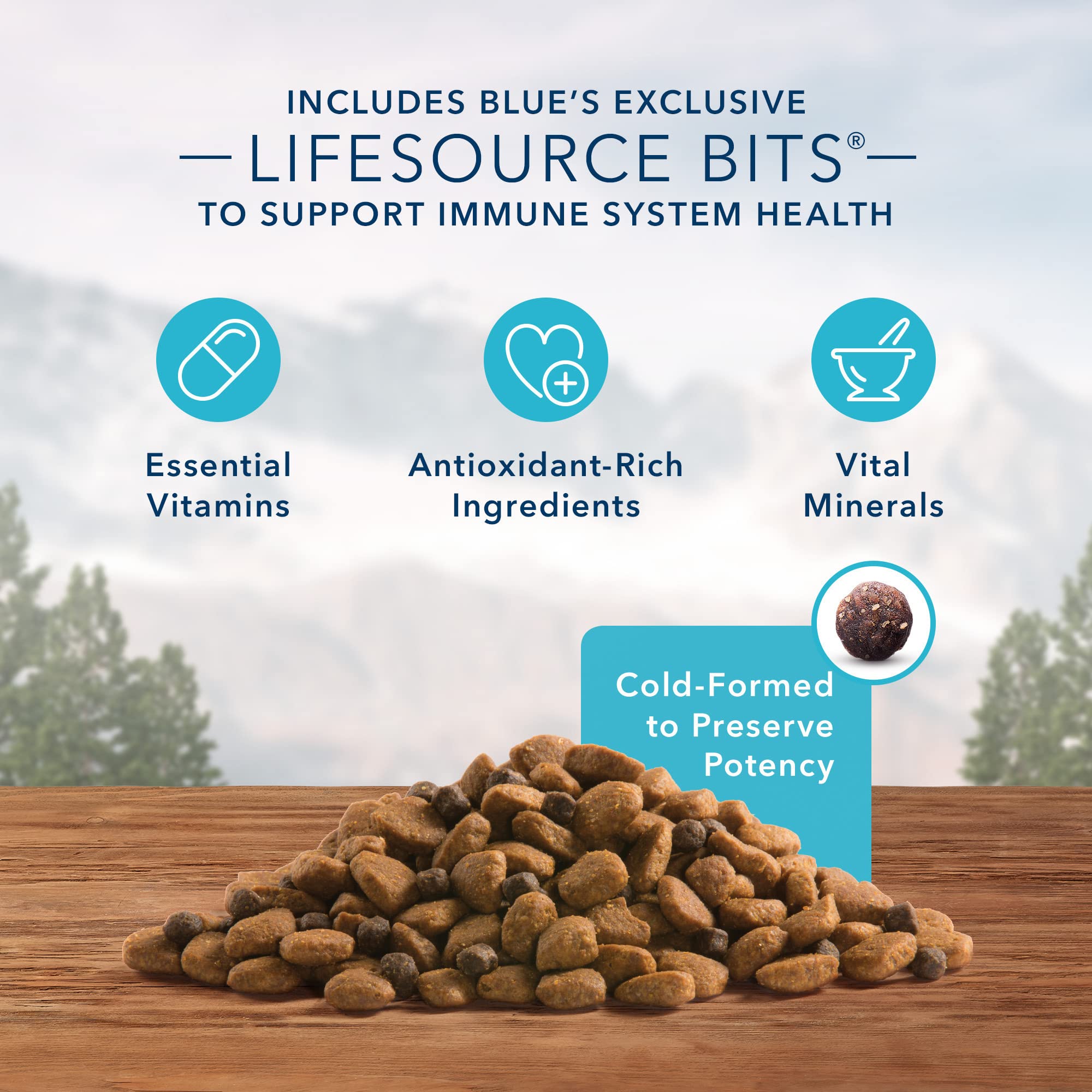 Blue Buffalo Wilderness Rocky Mountain Recipe High Protein Dry Dog Food, 22 lb, Red Meat