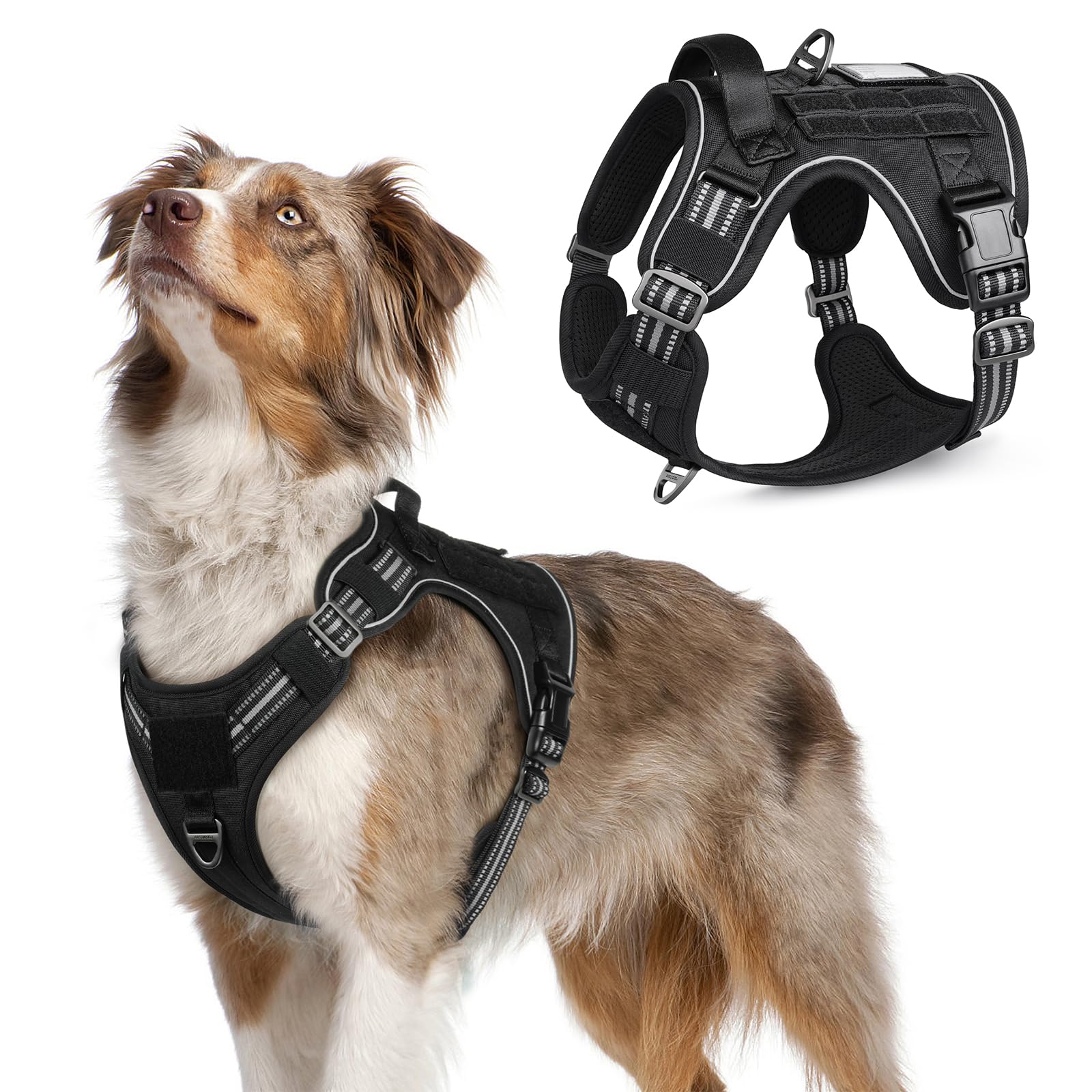 Rabbitgoo Dog Harness No Pull, Military Dog Harness Medium Sized Dog With Handle & Molle, Easy Control Service Dog Vest Harness Training Walking, Adjustable Reflective Tactical Pet Harness, Black, M