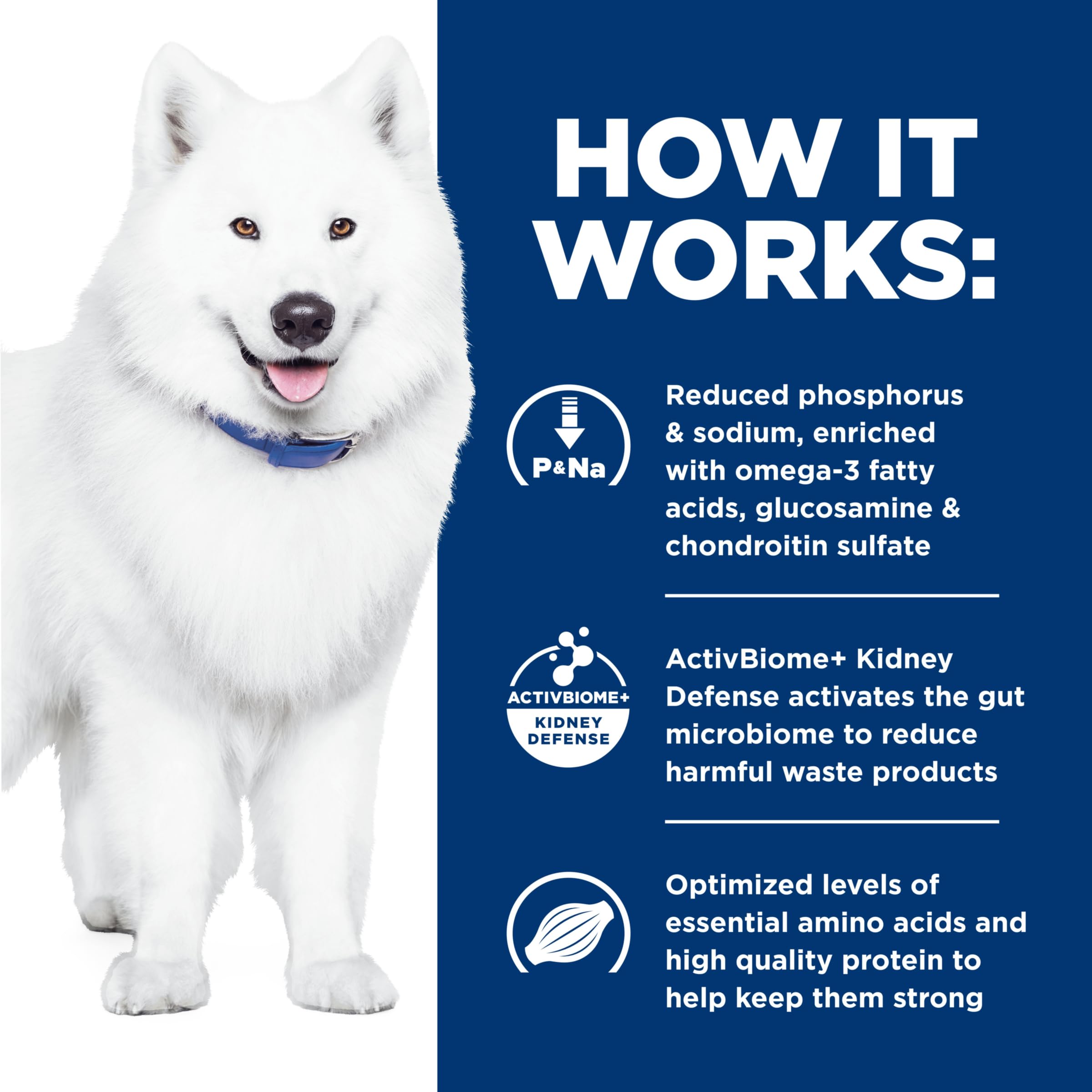 HILLS PRESCRIPTION DIET Hills Prescription Diet k/d Kidney Care + j/d Joint Care Chicken Flavor Dry Dog Food, Veterinary Diet,