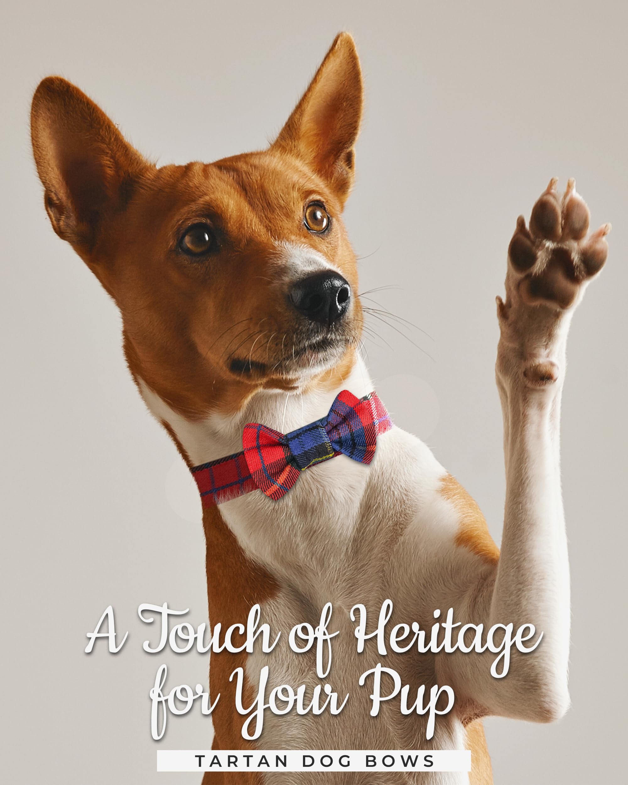 Dog Collar And Leash Set - Scottish Tartan Plaid Dog Bow Tie And Neckerchief, Tangle Free Leash Adjustable Collars Traditional S