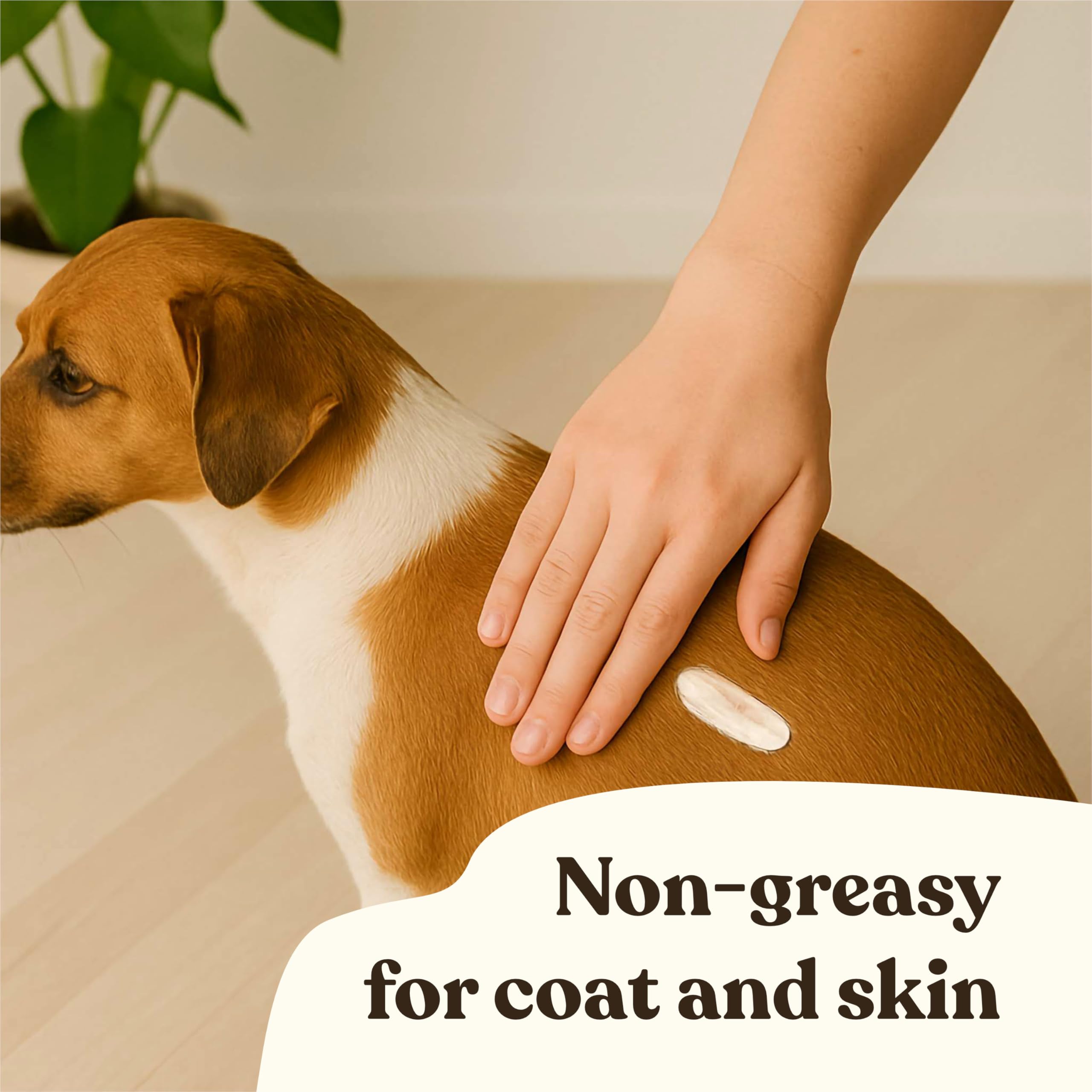 Gentle Creatures Itch Relief Lotion for Dogs, 8 fl oz, Natural with Oatmeal, Green Tea, Neem Oil