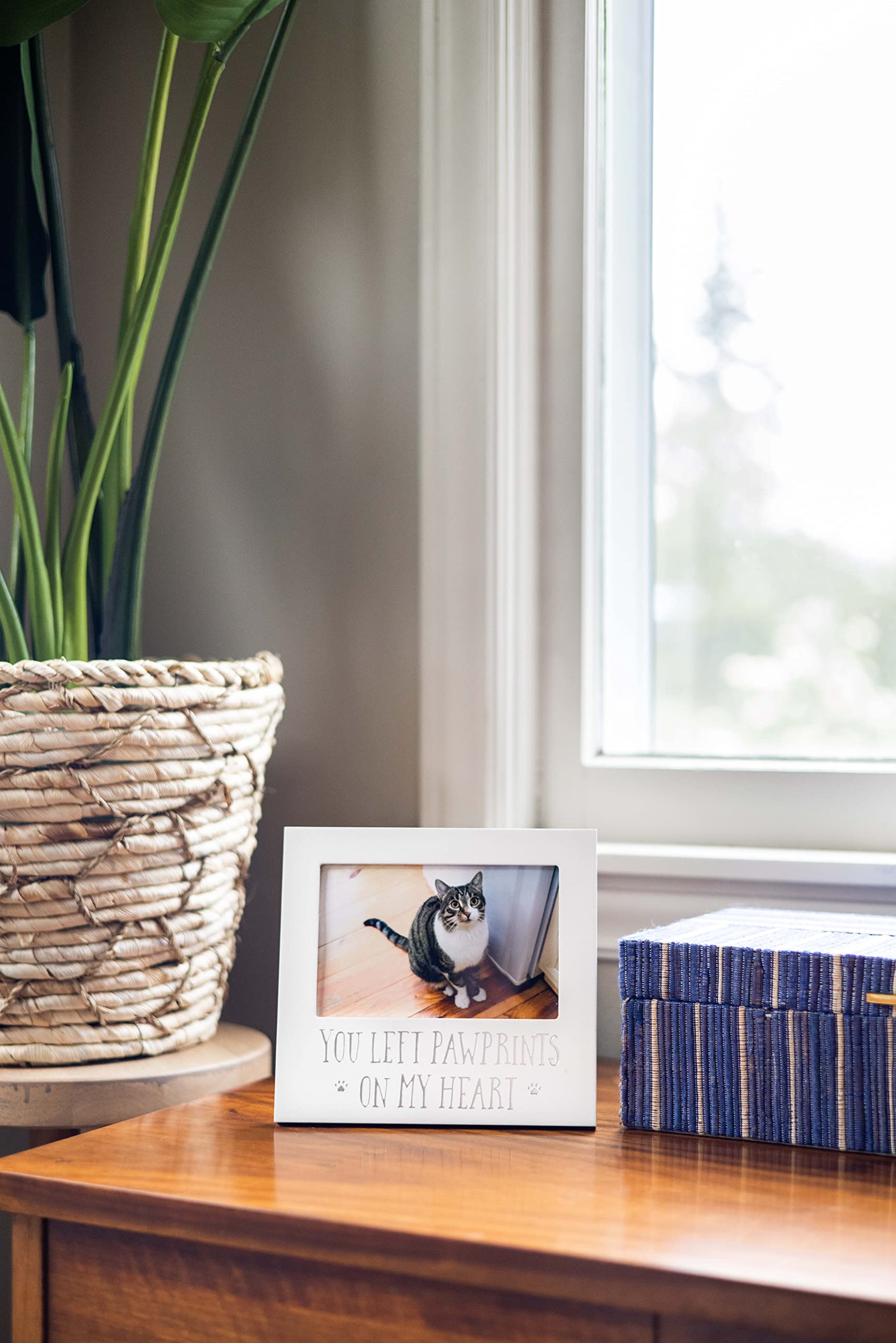 Pearhead Pet Keepsake Picture Frame - You Left Pawprints on my Heart - White - Model 83026 - Ideal for Dog or Cat Owners