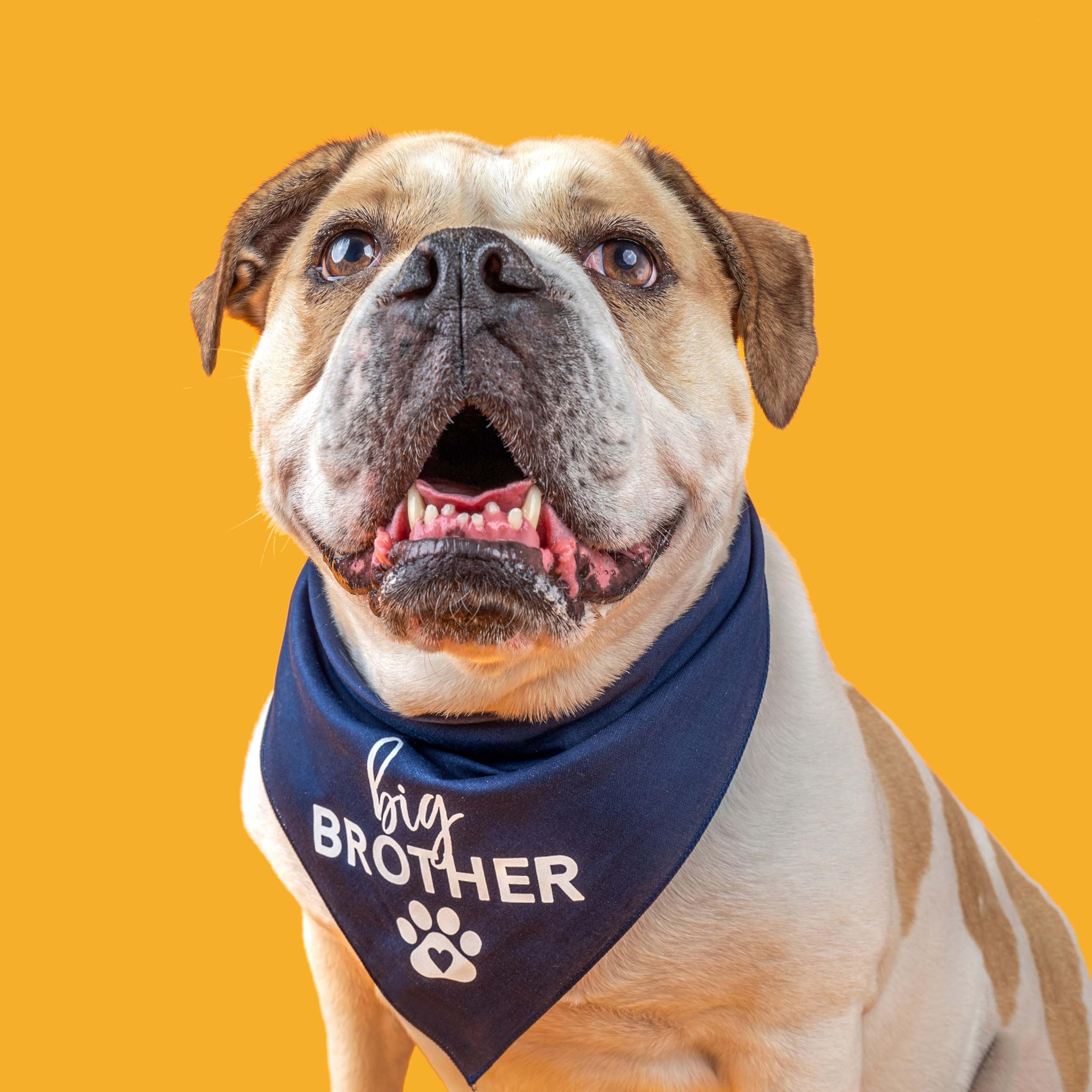 Big Brother With Heart Paw Baby Announcement Dog Bandana (Camo, Xs 87)