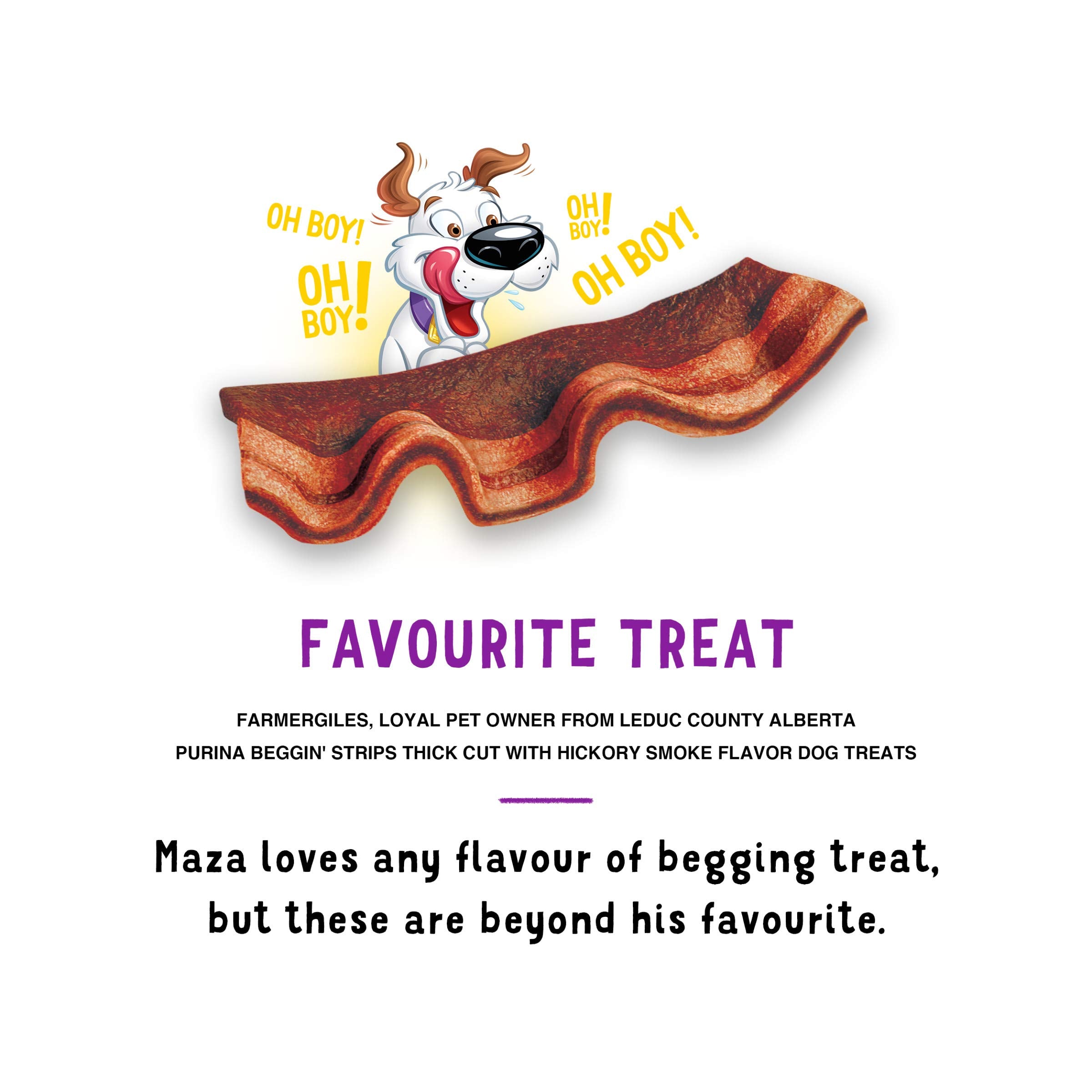Purina Beggin Strips Real Meat Dog Treats, Thick Cut Hickory Smoke Flavor - (Pack of 2) 26 oz. Pouches