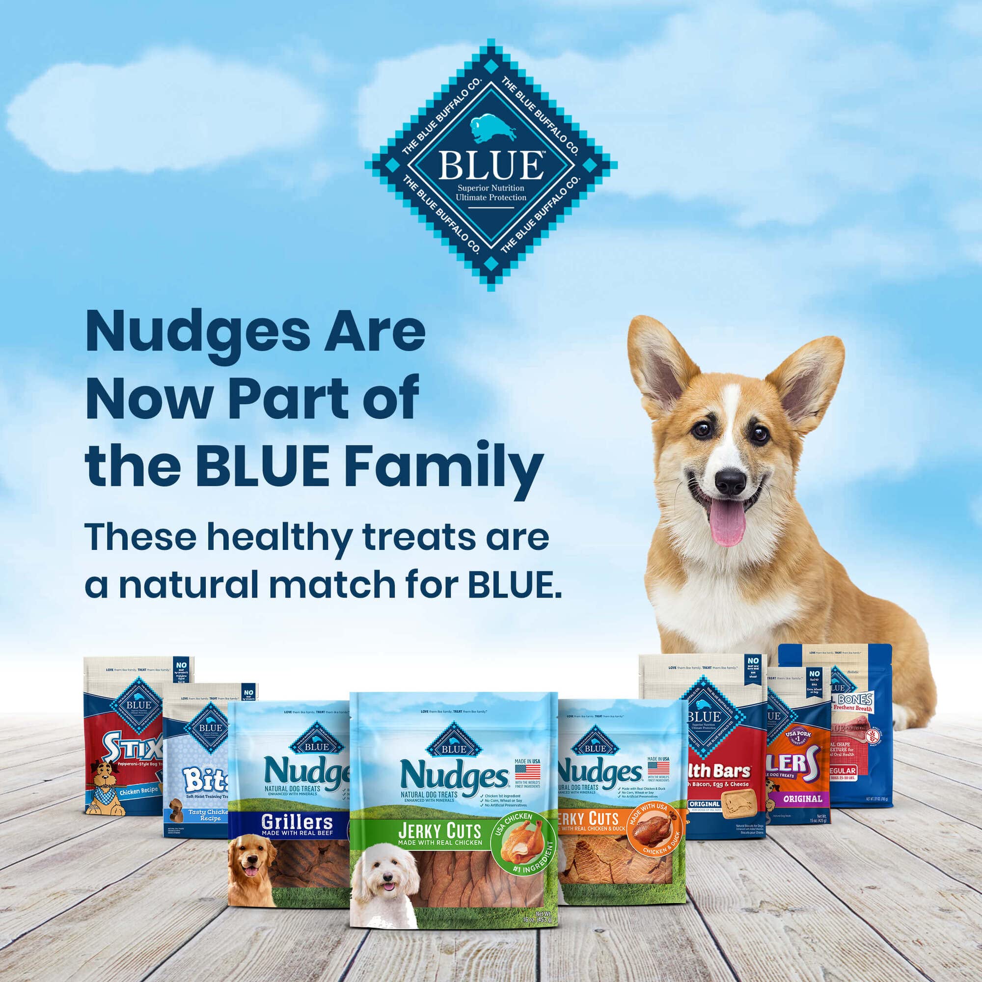 Blue Buffalo Nudges Grillers Natural Dog Treats, Chicken, 10oz Bag