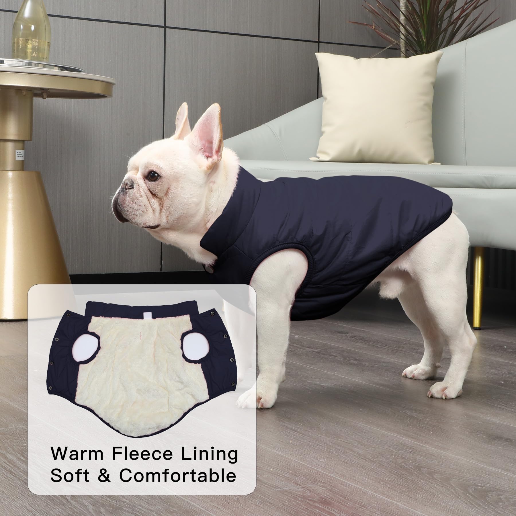 Joydaog 2 Layers Fleece Lined Warm Dog Jacket For Puppy Winter Cold Weather,Soft Windproof Small Dog Coat,Blue M