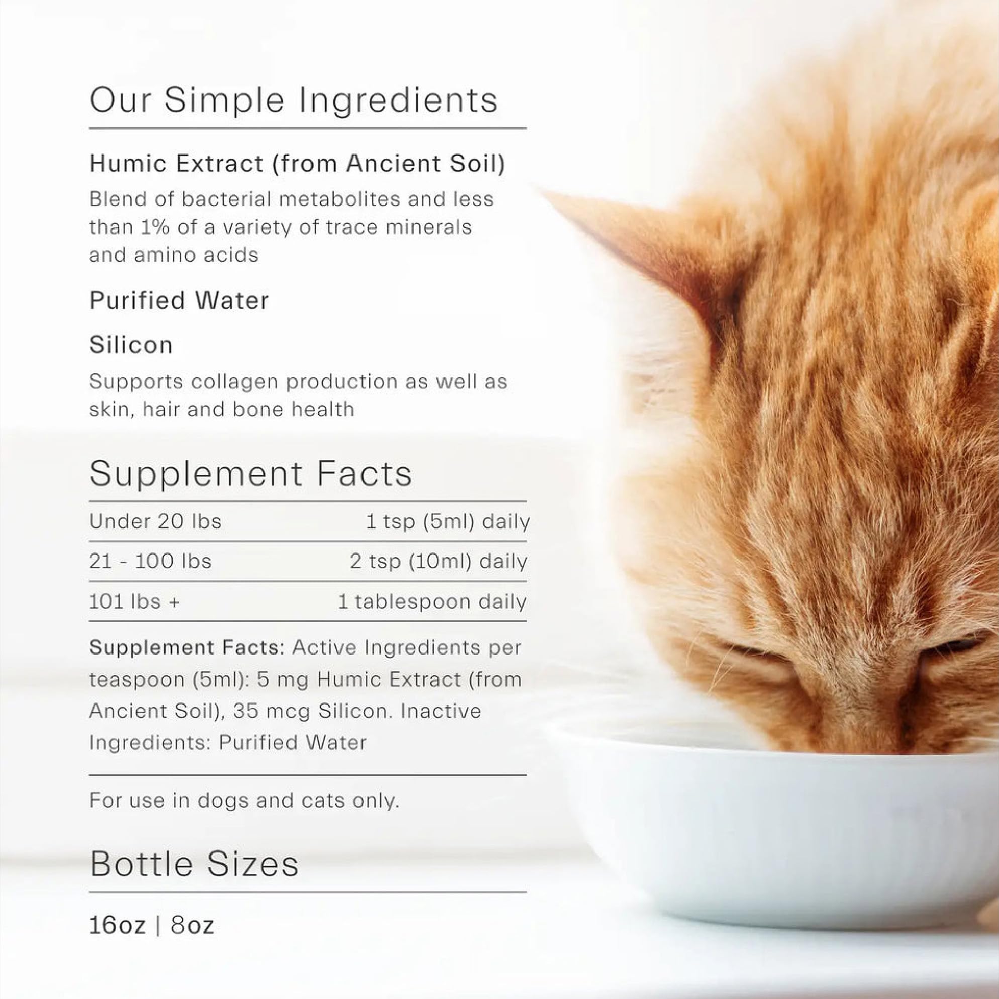 ION* Gut Support Liquid Probiotics for Dogs & Cats, 8 fl oz - Digestive Health & Skin Care for Pets
