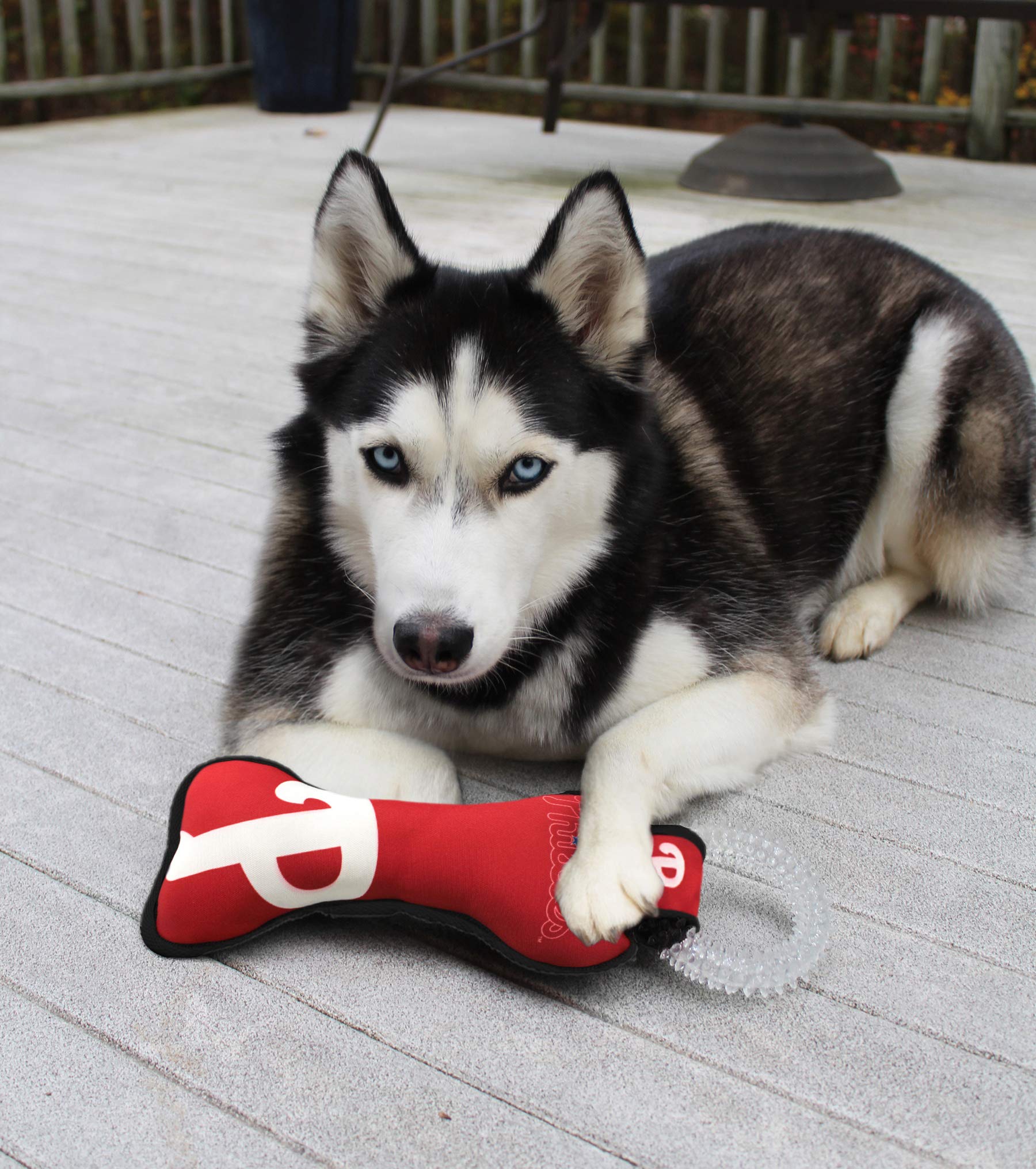 Mlb Philadelphia Phillies Bone Shaped Dental Dog Tug Toy With Squeaker. Tough Pet Toy For Healthy Fun, Teething, And Cleaning Pe