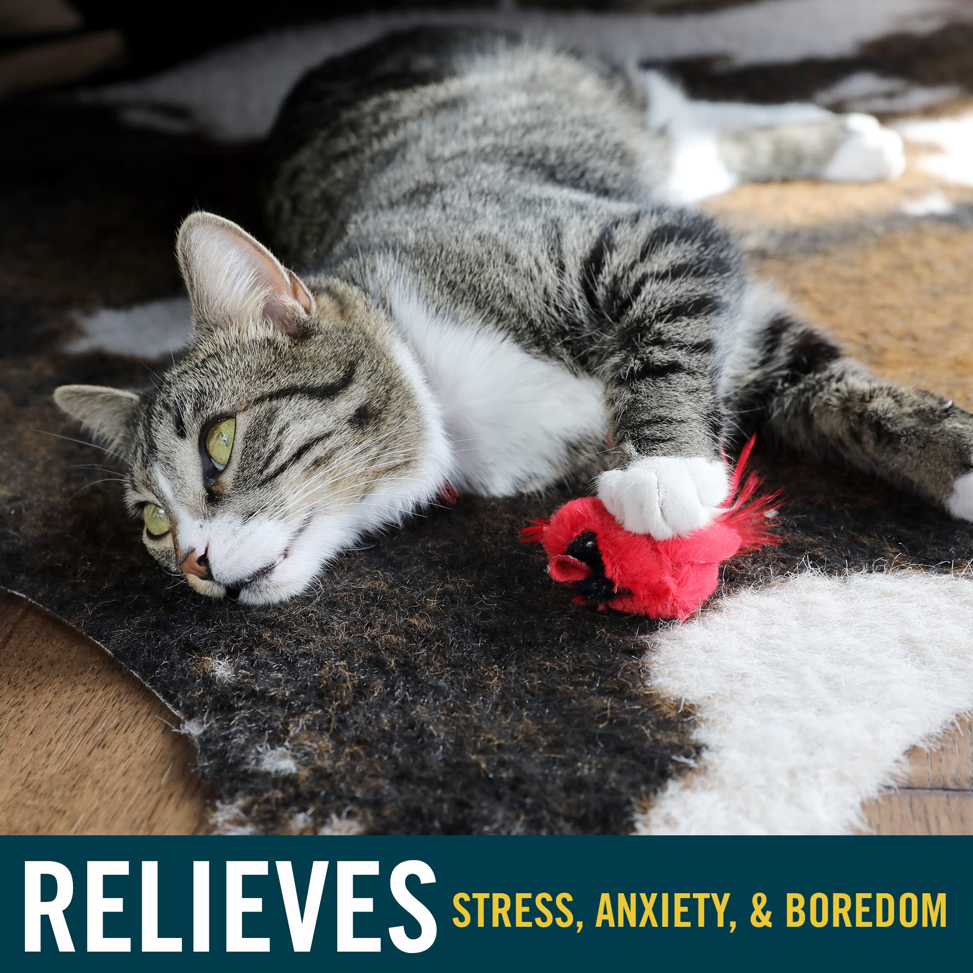 Ourpets Play-N-Squeak Real Birds Interactive Cat Toys With Catnip (Cat Toys For Indoor Cats; Catnip Toy For Cats With Bird Chirping Electronic Sound And Feather)