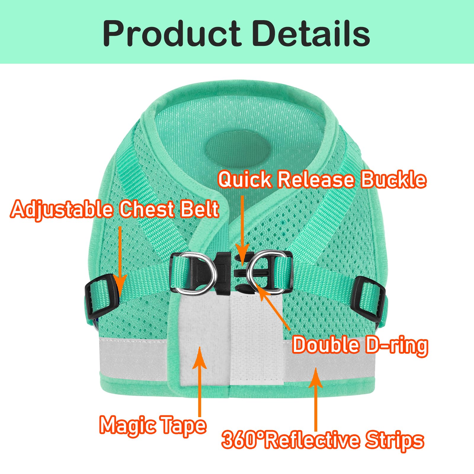 GAUTERF Adjustable Reflective Cat and Puppy Harness with Leash Set, Escape Proof Soft Mesh Vest, Cyan, XS (Chest: 6 - 8)