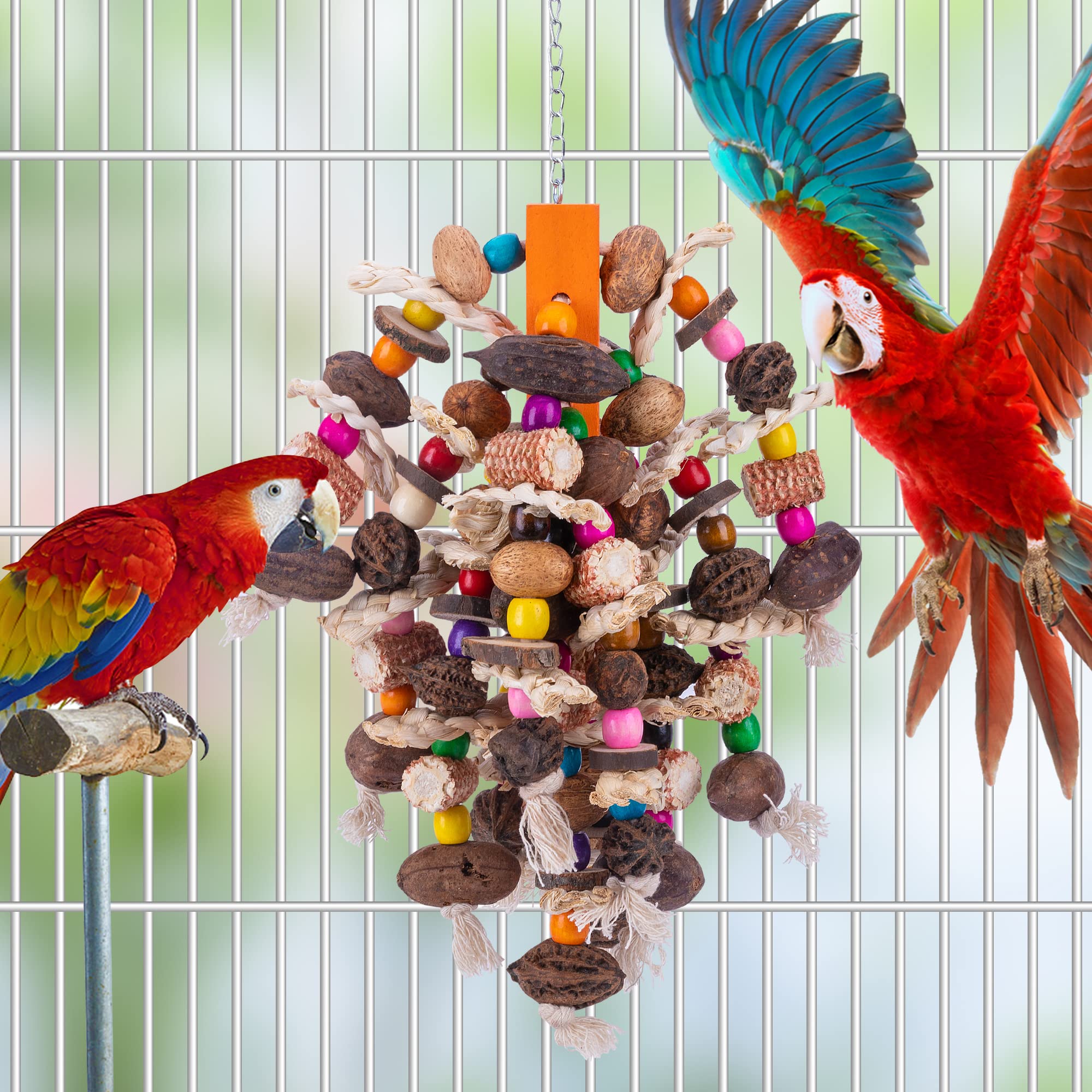 Deloky Large Parrot Bird Chewing Toys-Natural Nuts Corn Parrot Tearing Toy-Wooden Bird Cage Toy For African Grey,Macaws Cokatoos,Amazon Parrots And Other Large Birds
