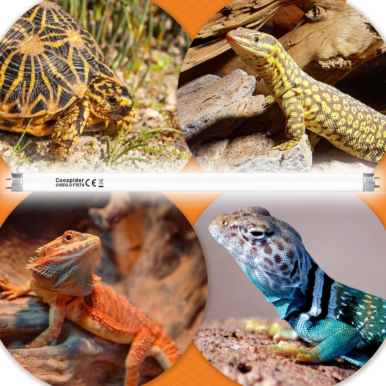 Hypool 2 Pack T8 Strip Uva Uvb Reptile Lighting Bulb 18-Inch 15 Watt Uvb 10.0 Fluorescent Bulb 10-Percent Uvb Desert Pet Habitat