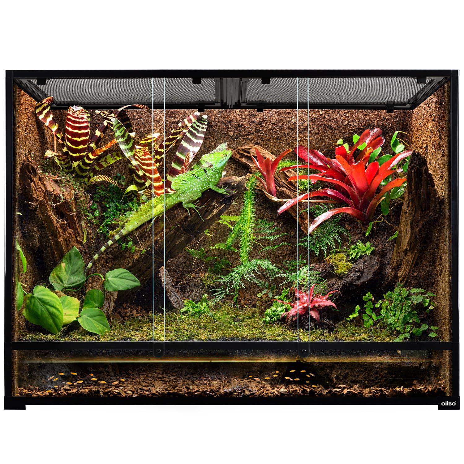 Oiibo 135 Gallon Reptile Terrarium, 48'' X 18'' X 36'' Full Tempered Glass Vertical Reptile Tank,Front Sliding Door With Top Scr