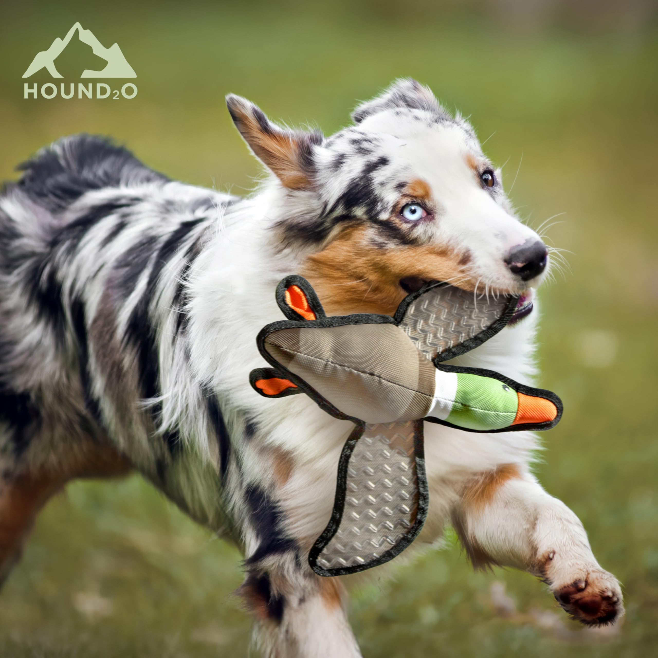 Hound2O Plush Outdoor Toys For Dogs | Large Stuffed Animal Duck & Stuffed Trout 2-Pack | Value Set Fishing & Hunting Themed Dura