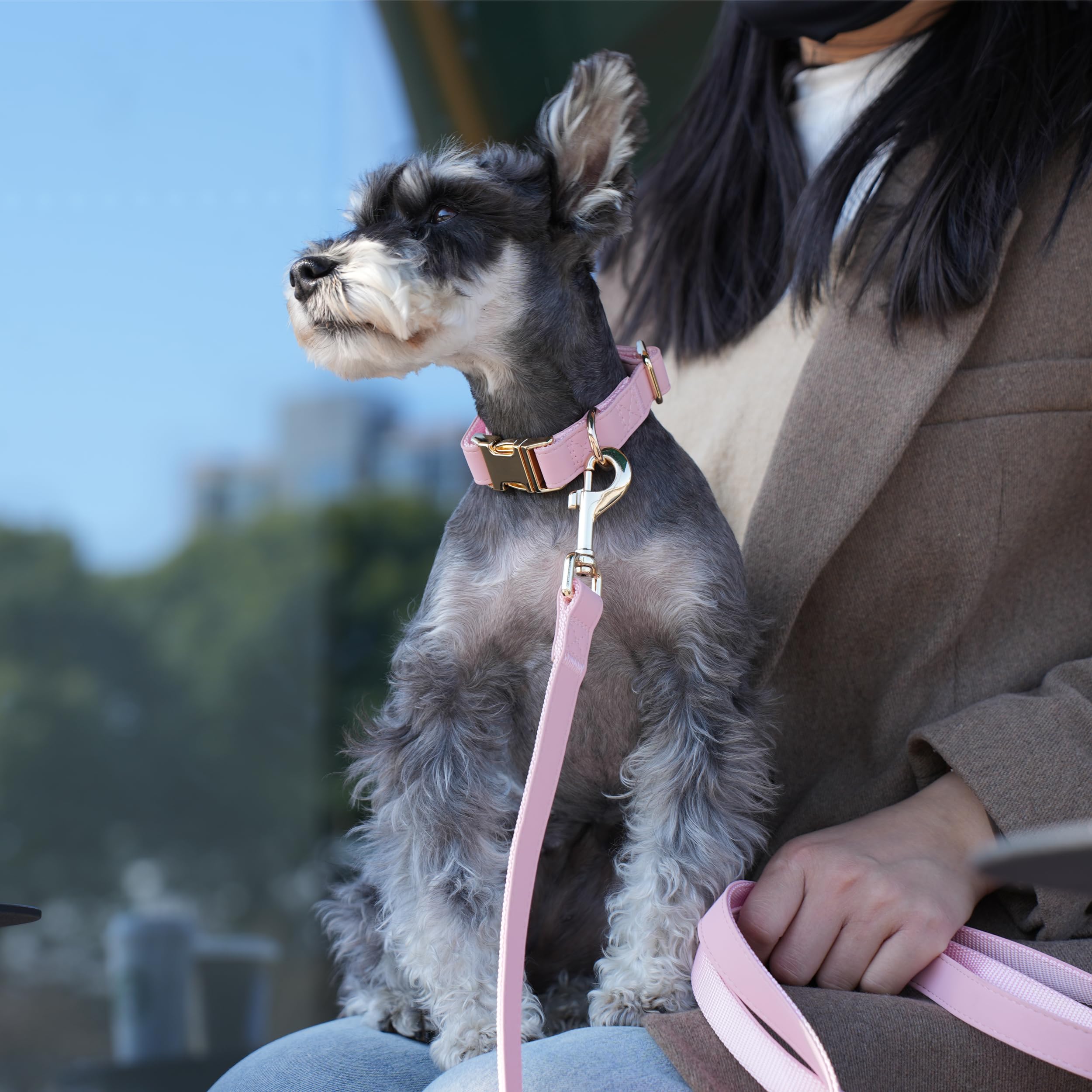 PET ARTIST Bright & Classic Leather Dog Collar, Durable & Heavy Duty Pink Dog Collar with Quick Release Metal Buckle, Adjustable