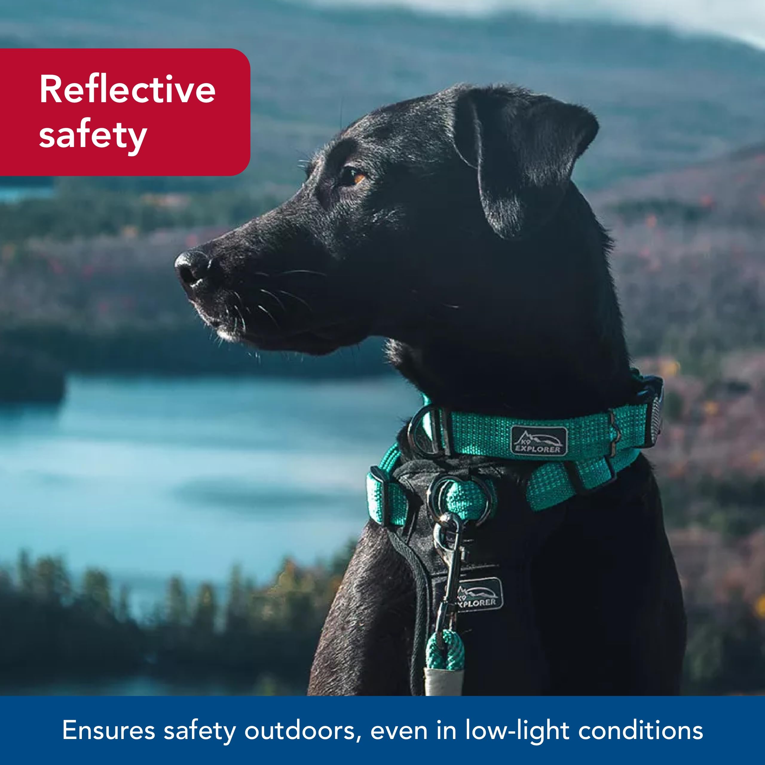 Coastal Pet - K-9 Explorer - Brights Reflective Adjustable Dog Collar, Canyon, 5/8 x 08-12