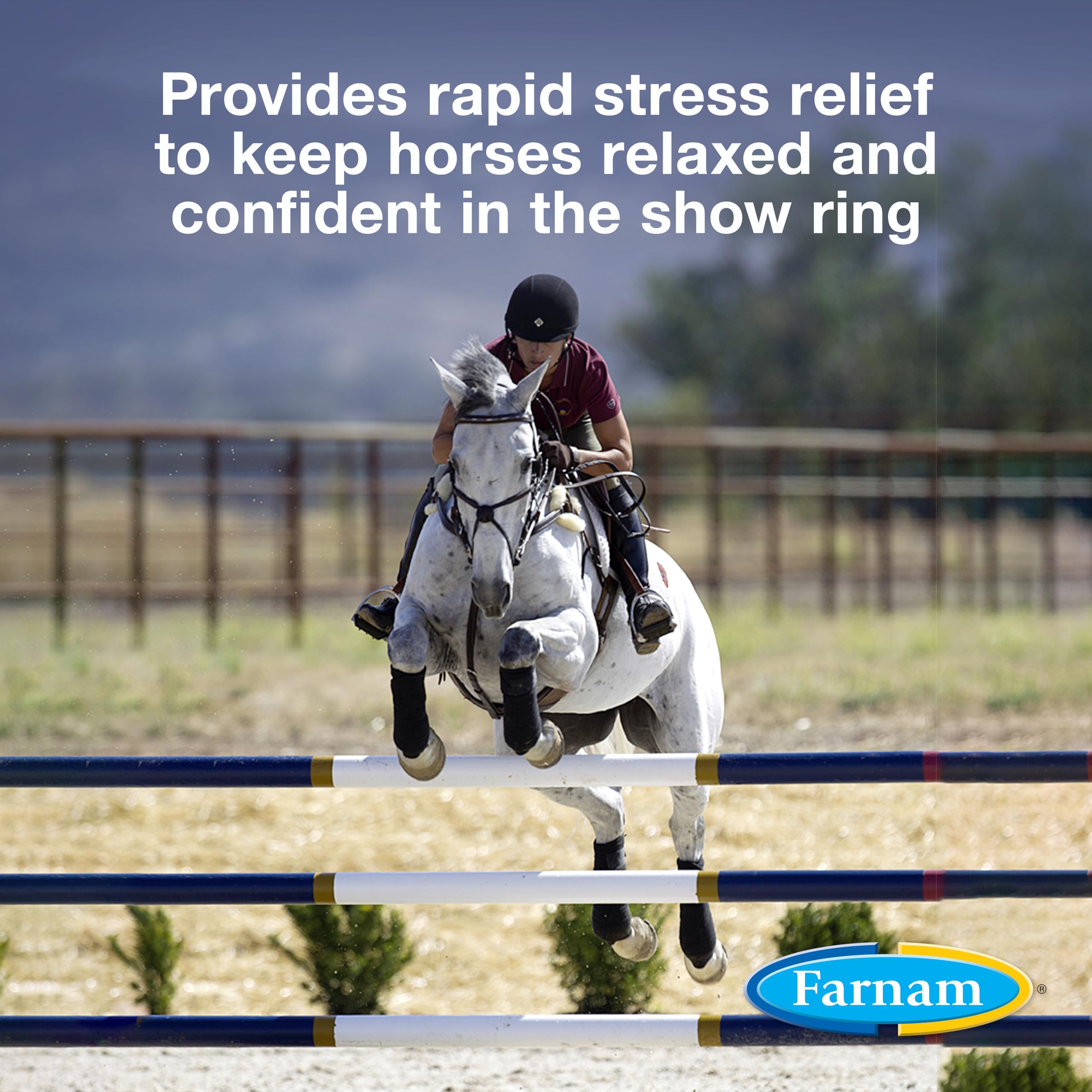 Farnam Quietex Show Calming & Focusing Paste, Helps Keep Horses Calm & Relaxed That Become Nervous in The Show Ring 30 cc