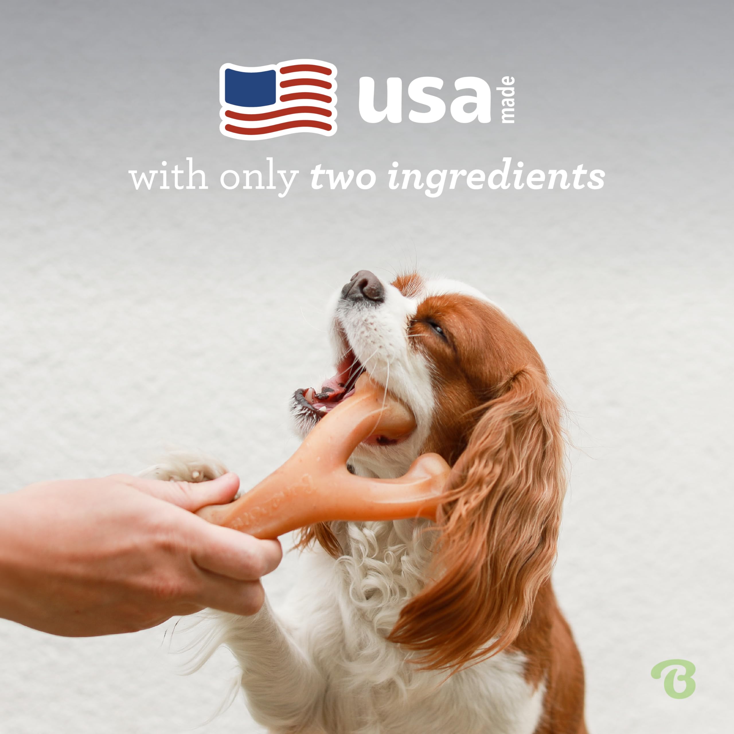 Benebone Wishbone Durable Dog Chew Toy For Aggressive Chewers, Real Peanut, Made In Usa, Giant