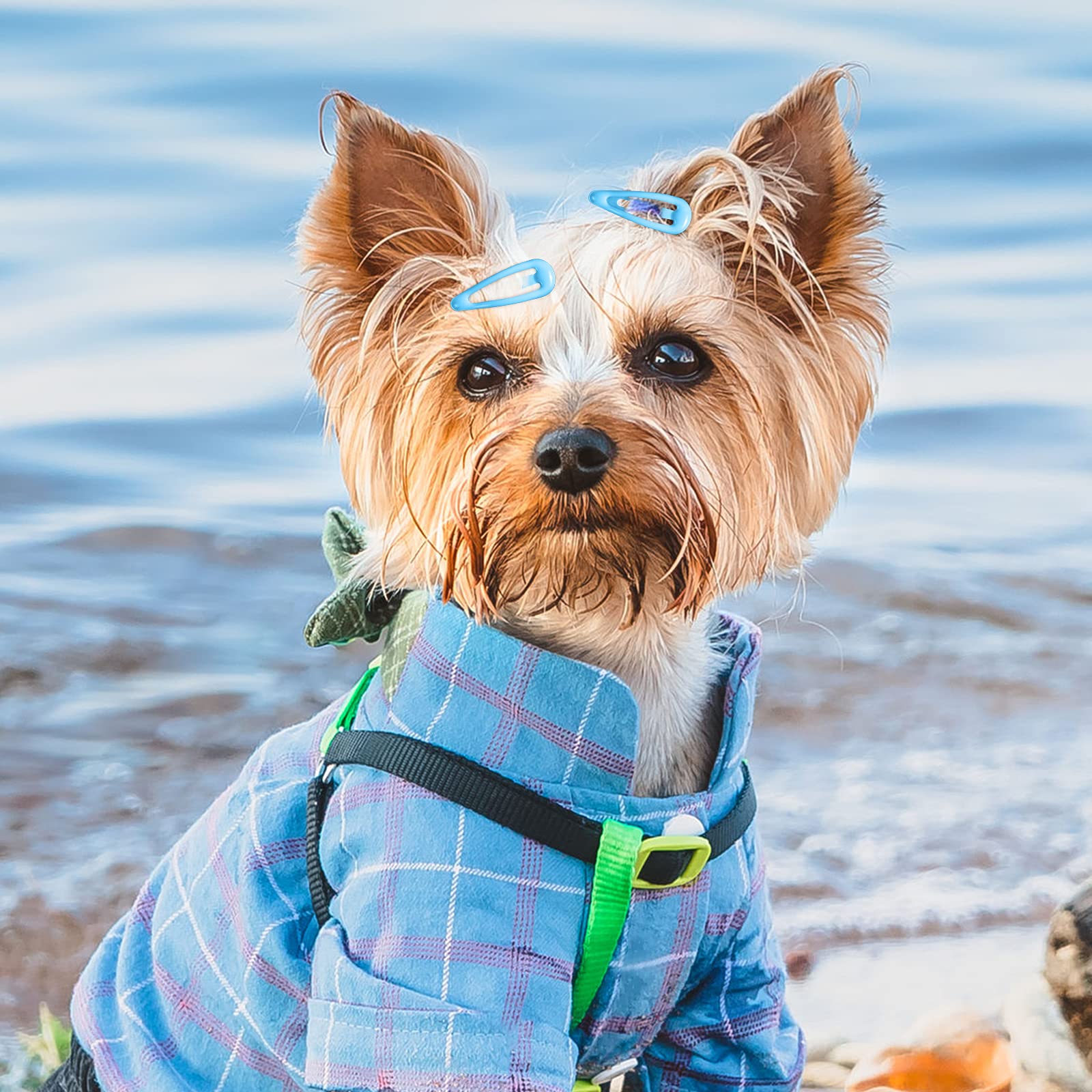 Mtlee 40 Pieces Dog Hair Clips Pet Hair Barrettes Grooming Products Small Snap Hair Clips Cute Pet Hairpin Headwear For Cat Puppy, 20 Pairs