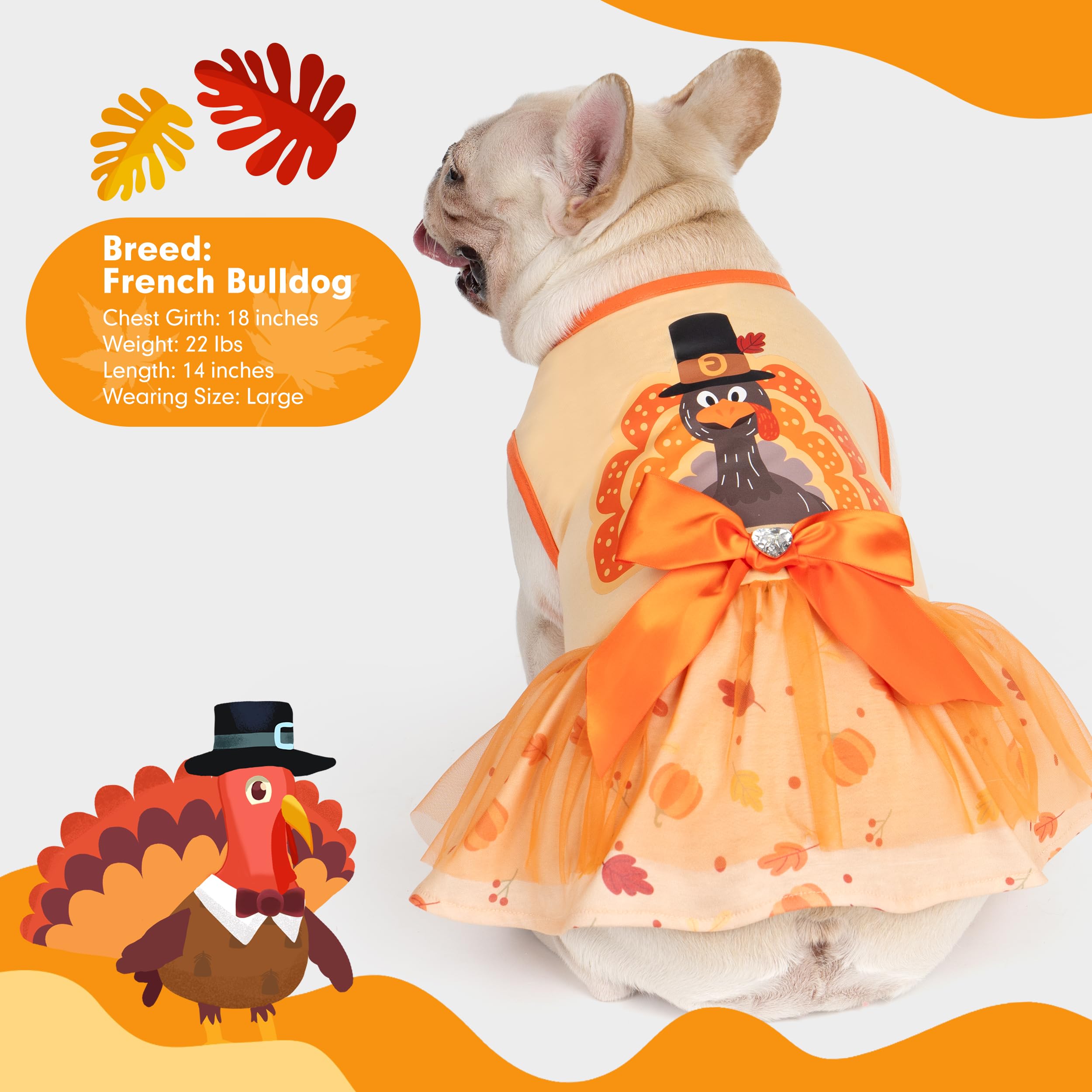 Cyeollo Thanksgiving Day Puppy Clothes Tulle Dog Dress - Turkey Small Medium Dogs, Size Xl