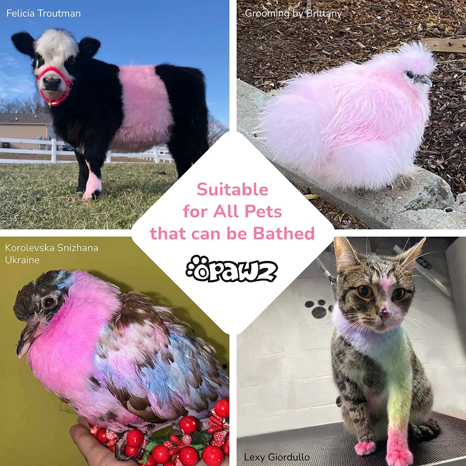 Opawz Color Depositing Shampoo For Dogs, Semi-Permanent Hair Dye Coloring, Non-Toxic Colorwash For Pets (Vivid Pink, 2.1 Fl.Oz /