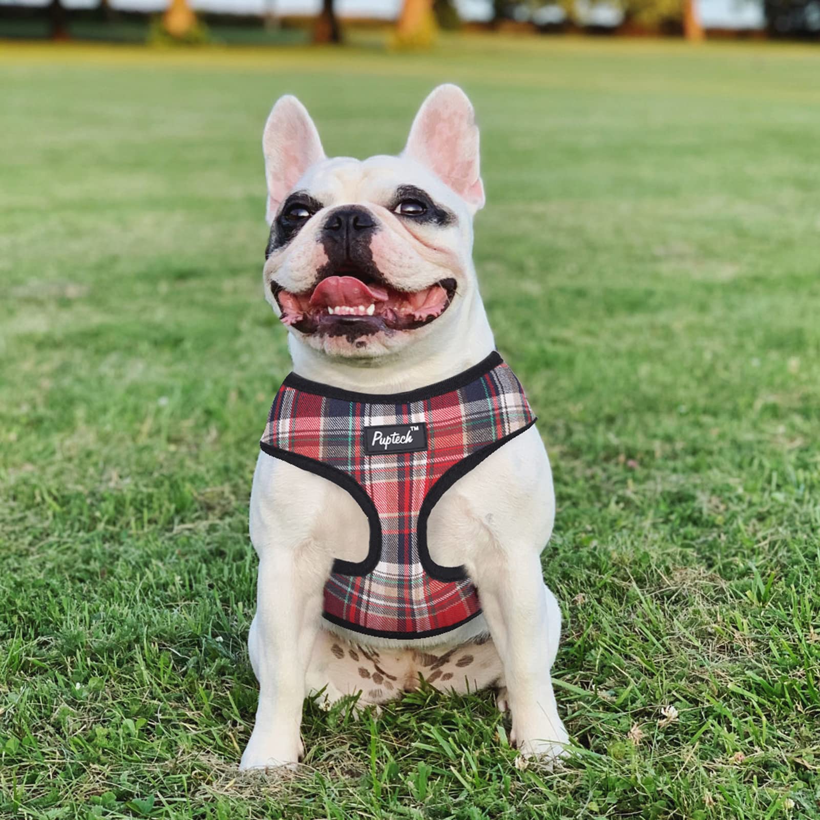 Pupteck Soft Mesh Dog Harness And Leash Set Pet Puppy Cat Comfort Padded Vest No Pull Harnesses, Red Mixed, M