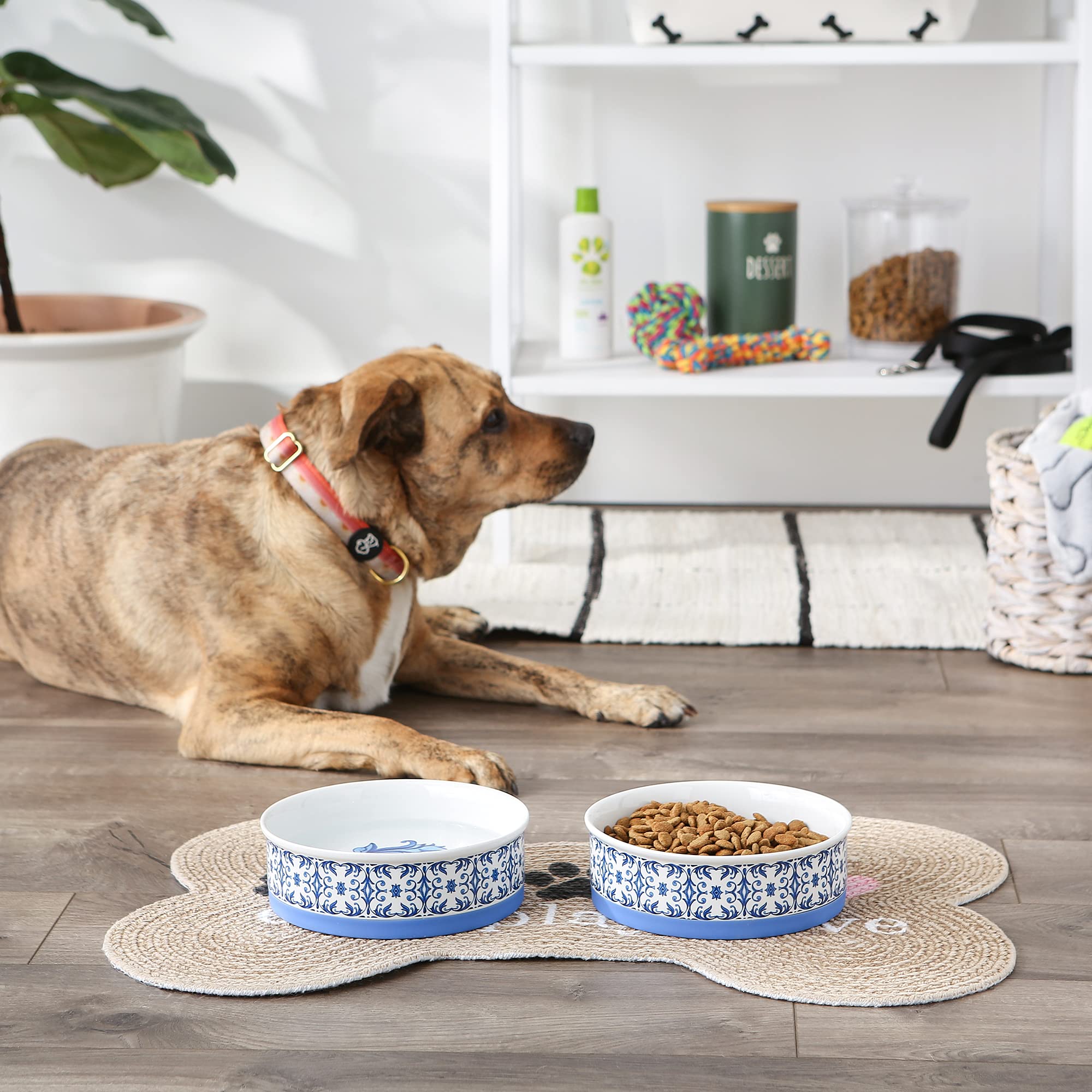 DII Pet Bowl Portuguese Tile Large 7.5Dx2.4H (Set of 2)